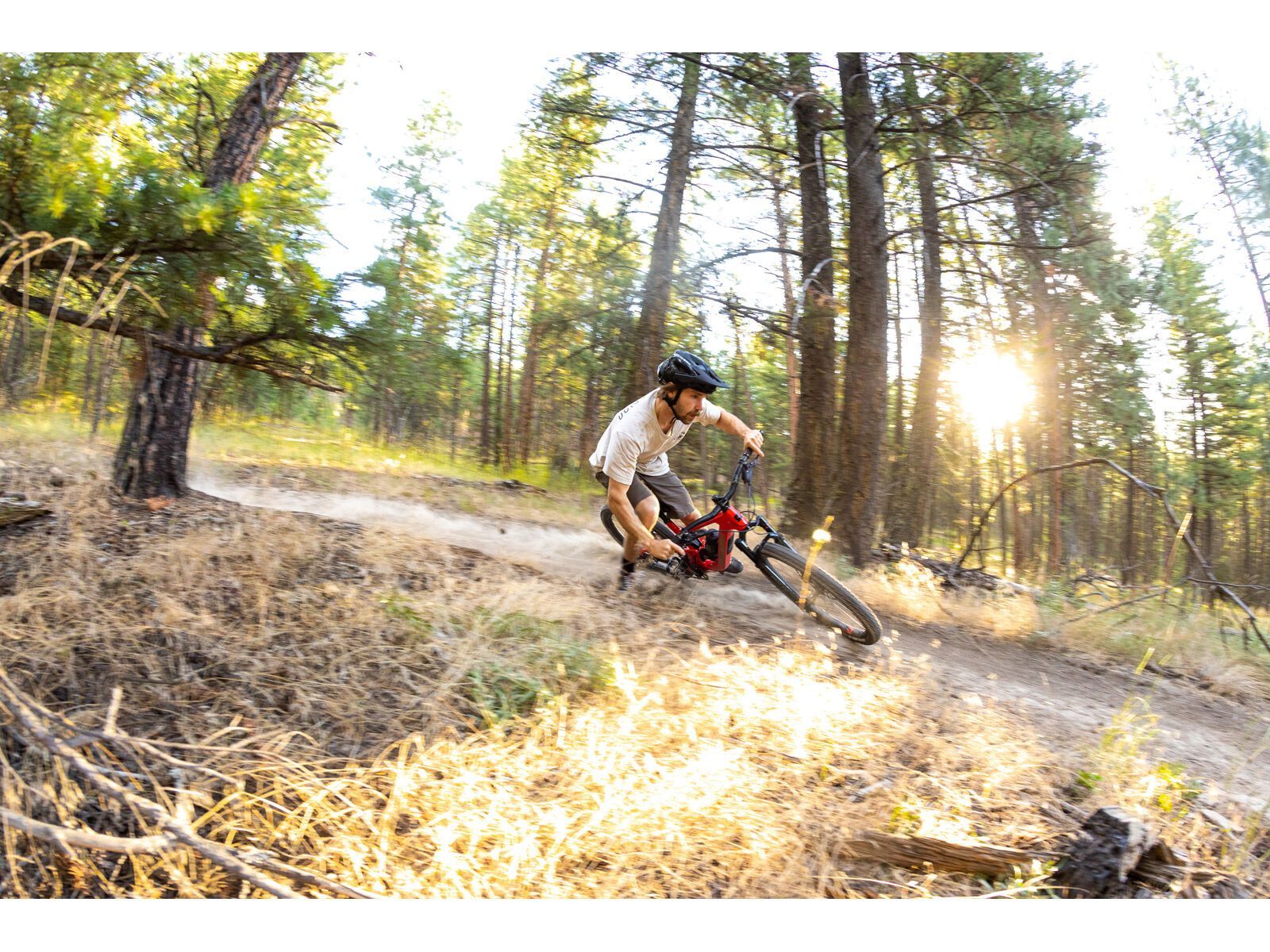 Santa Cruz 5010 C / R / MX, gloss red - Bild 20