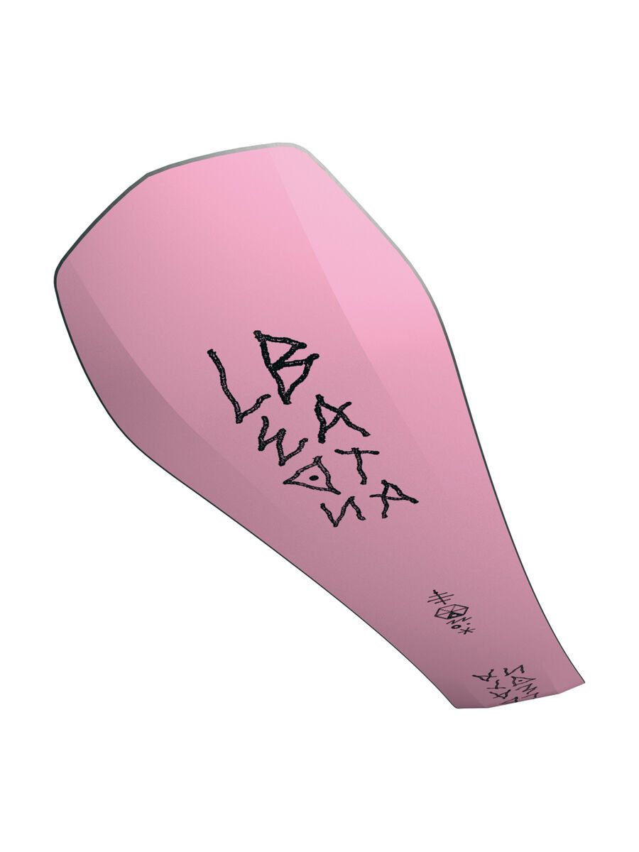 Bataleon Disaster - Bild 10