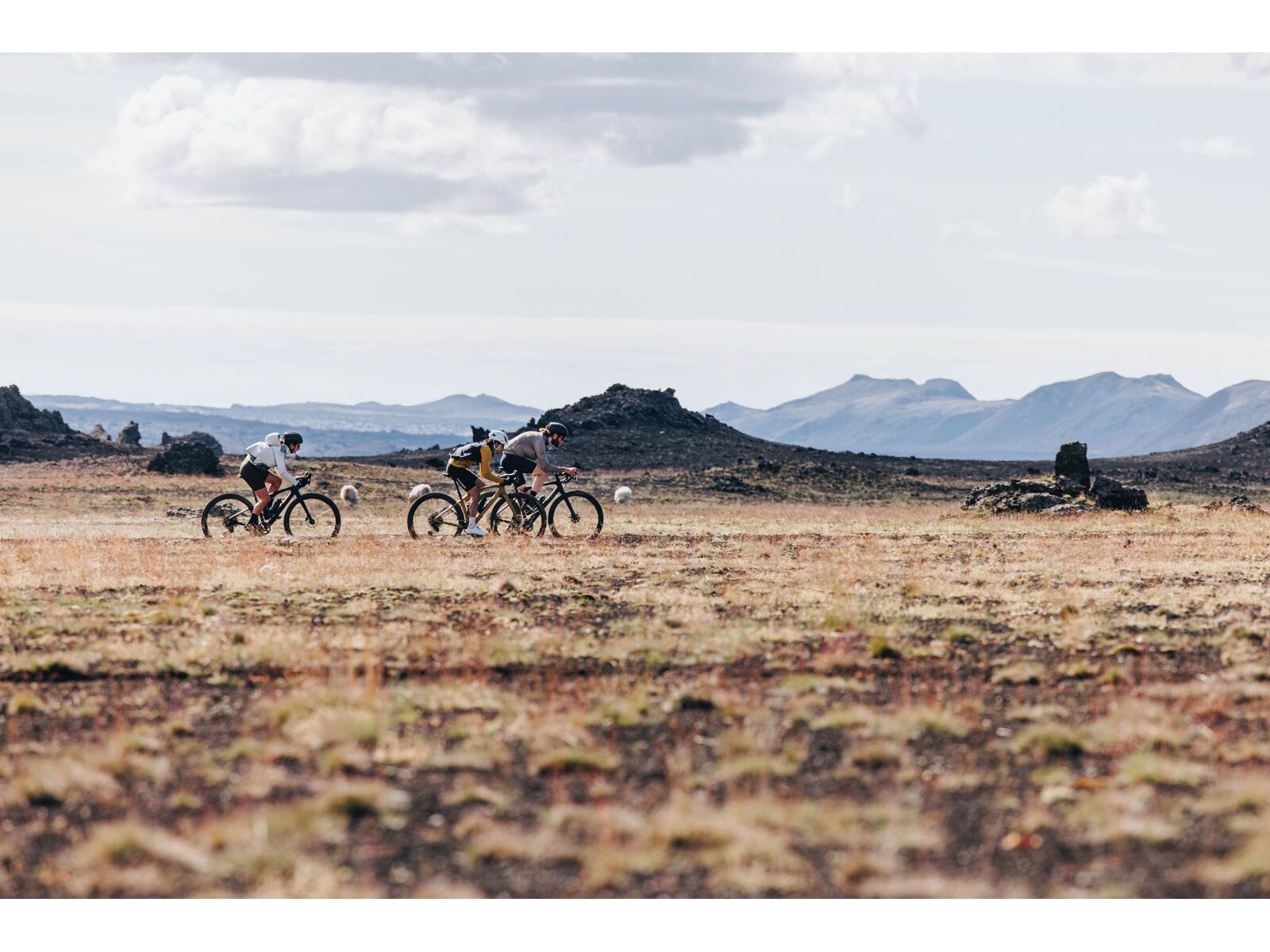 Specialized Diverge STR Expert, harvest gold/gold ghost pearl - Bild 26