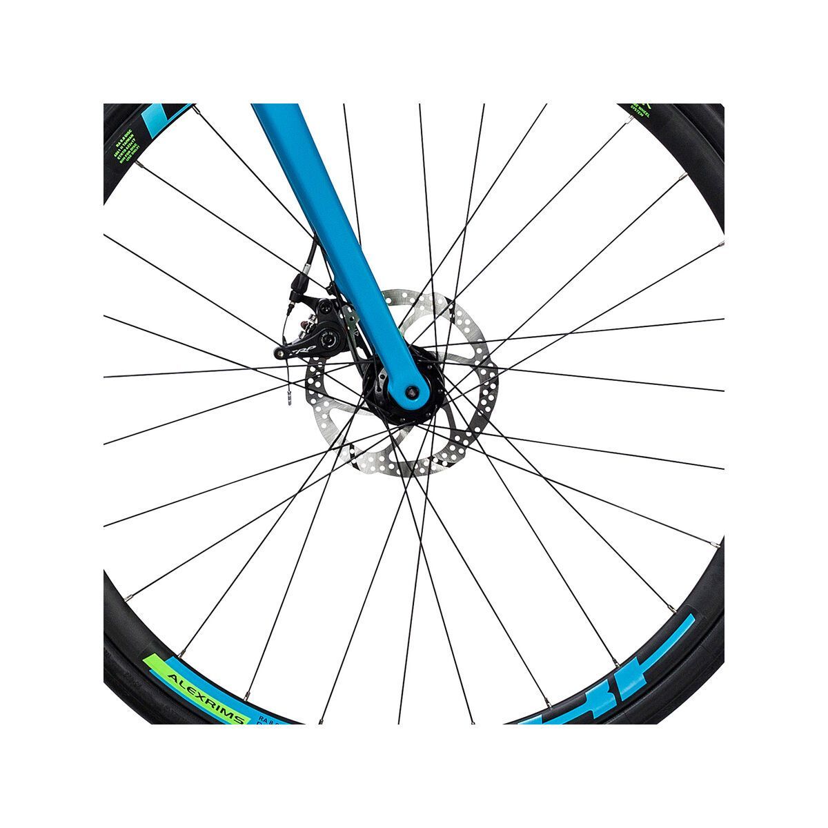 Cube Axial WLS Pro Disc, reefblue´n´green - Bild 2