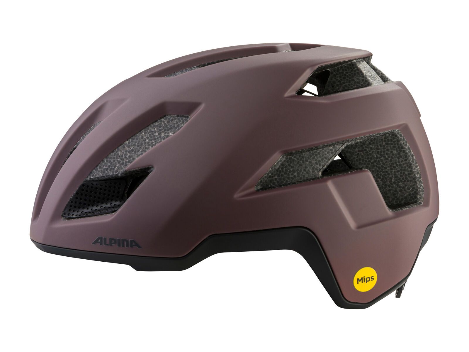 Alpina Taunus Gravel MIPS, ox black matt - Bild 3