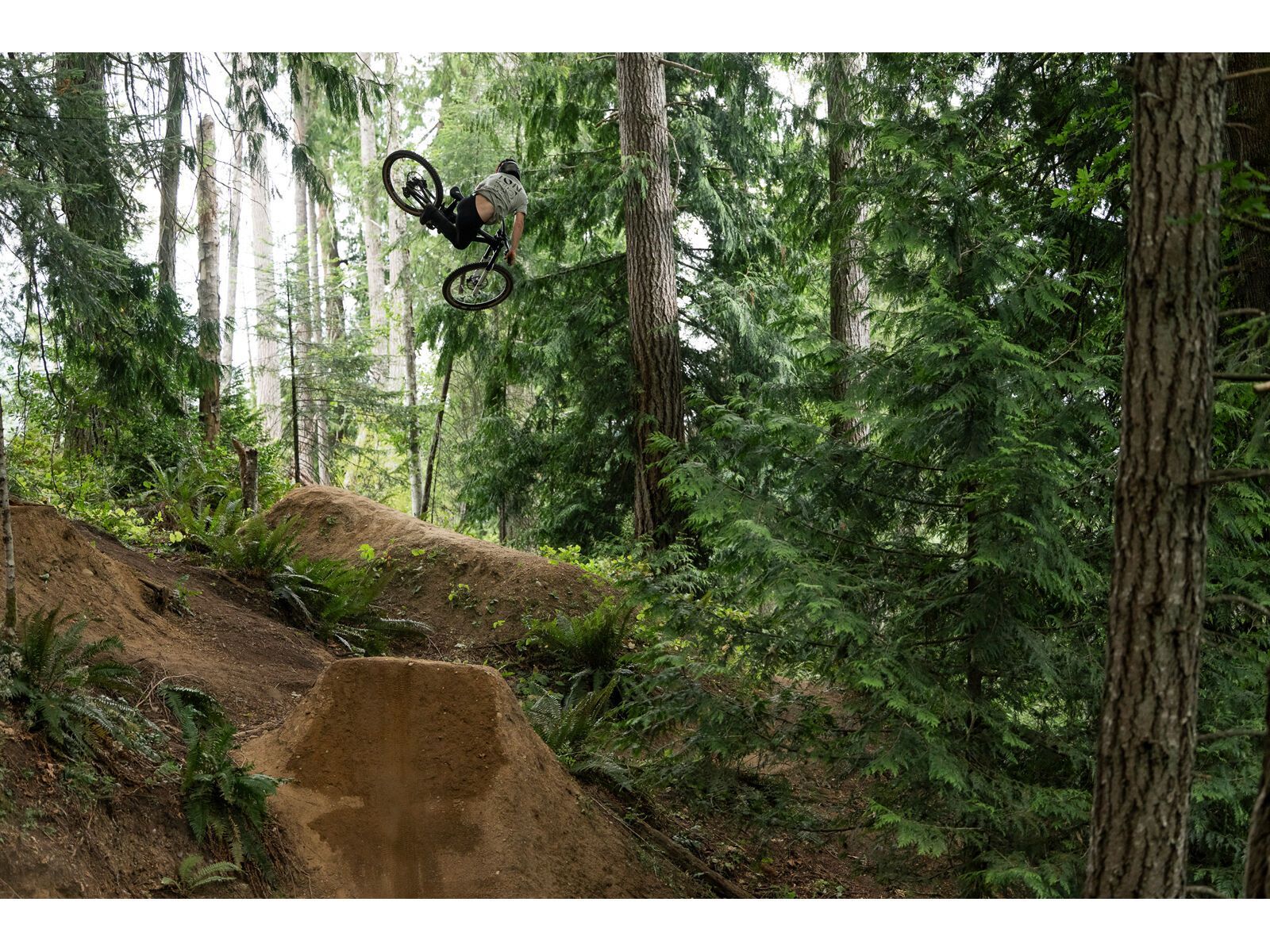 ION Bike Jersey Seek Graphic Shortsleeve Men, infused-green - Bild 3