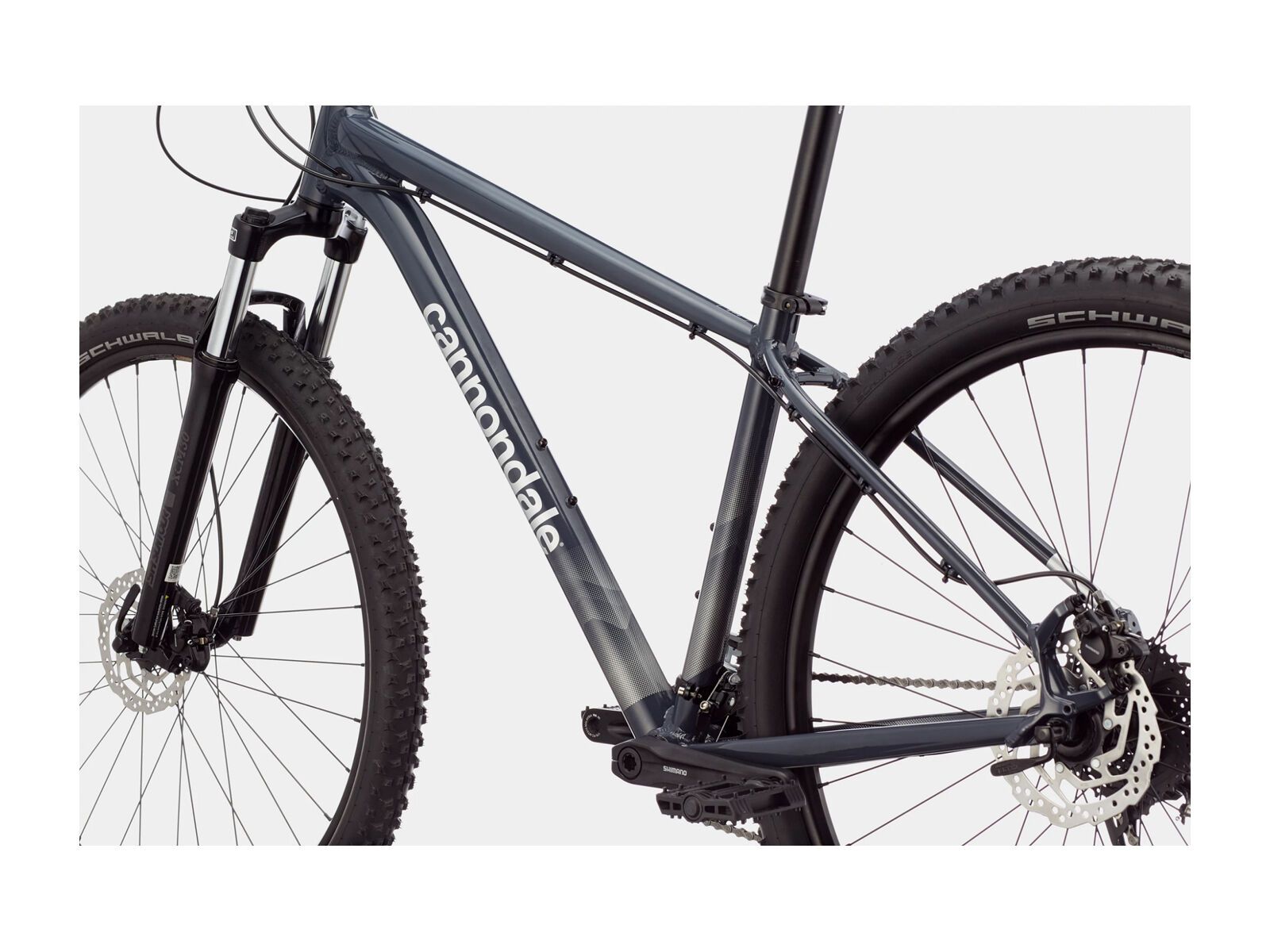 ***2. Wahl*** Cannondale Trail 6 - 29 slate gray 2022 - Bild 6