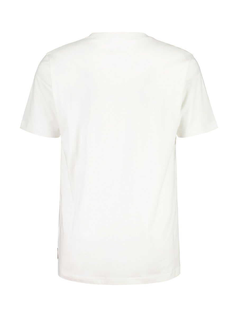 Maloja IllerM., glacier milk - Bild 2