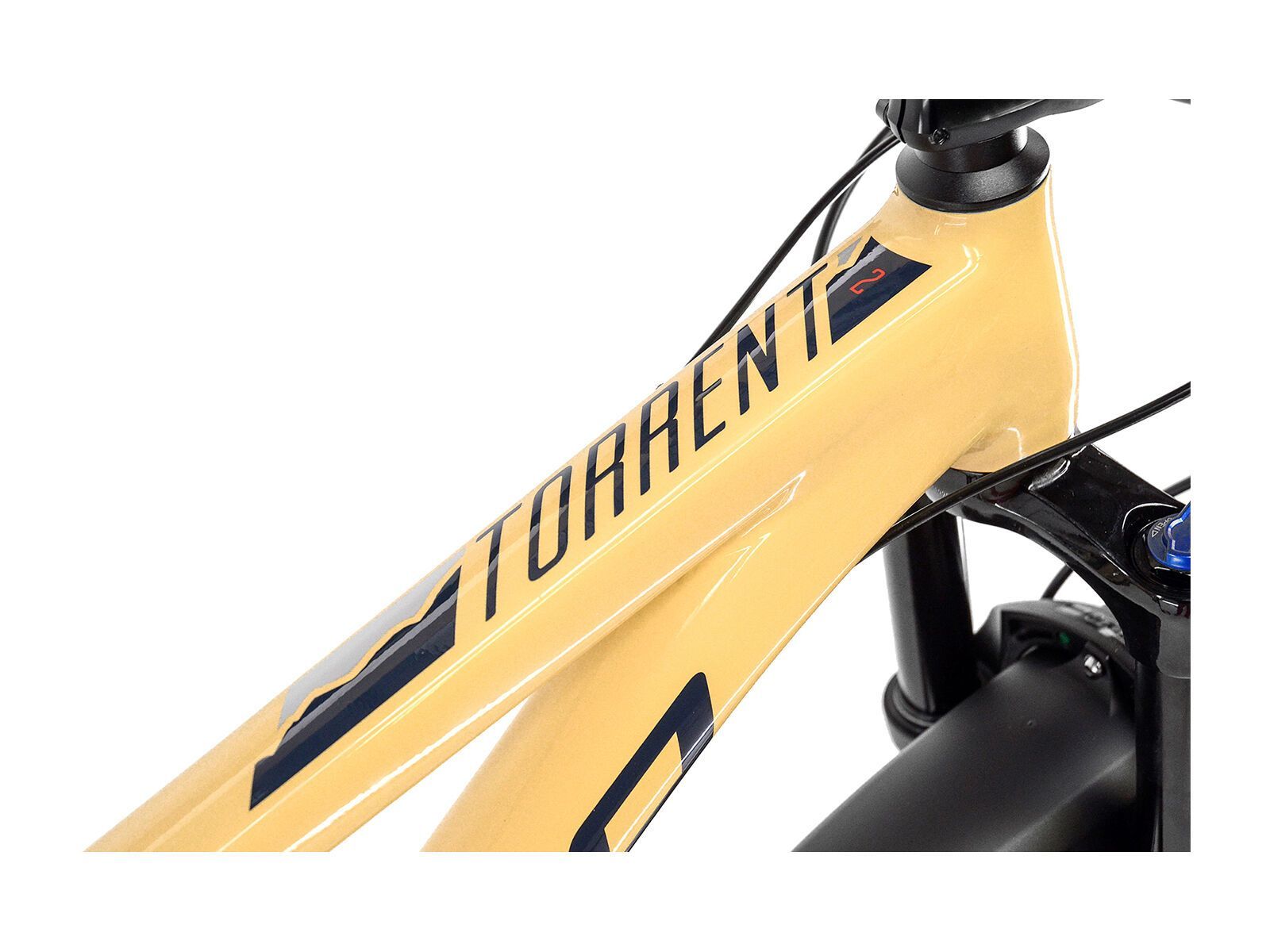 Norco Torrent HT 2, beige/black/red - Bild 2