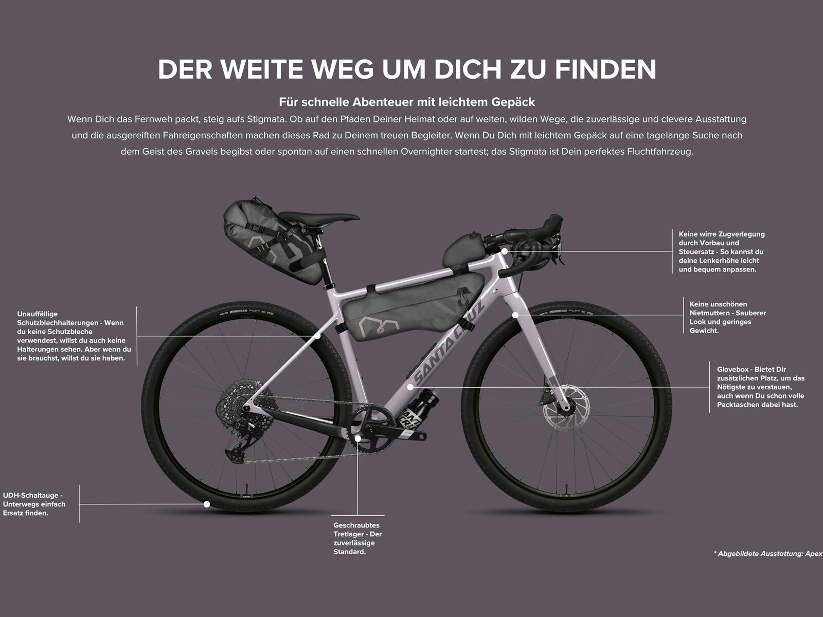 Santa Cruz Stigmata CC / Rival 2x AXS, gloss purple granite - Bild 3