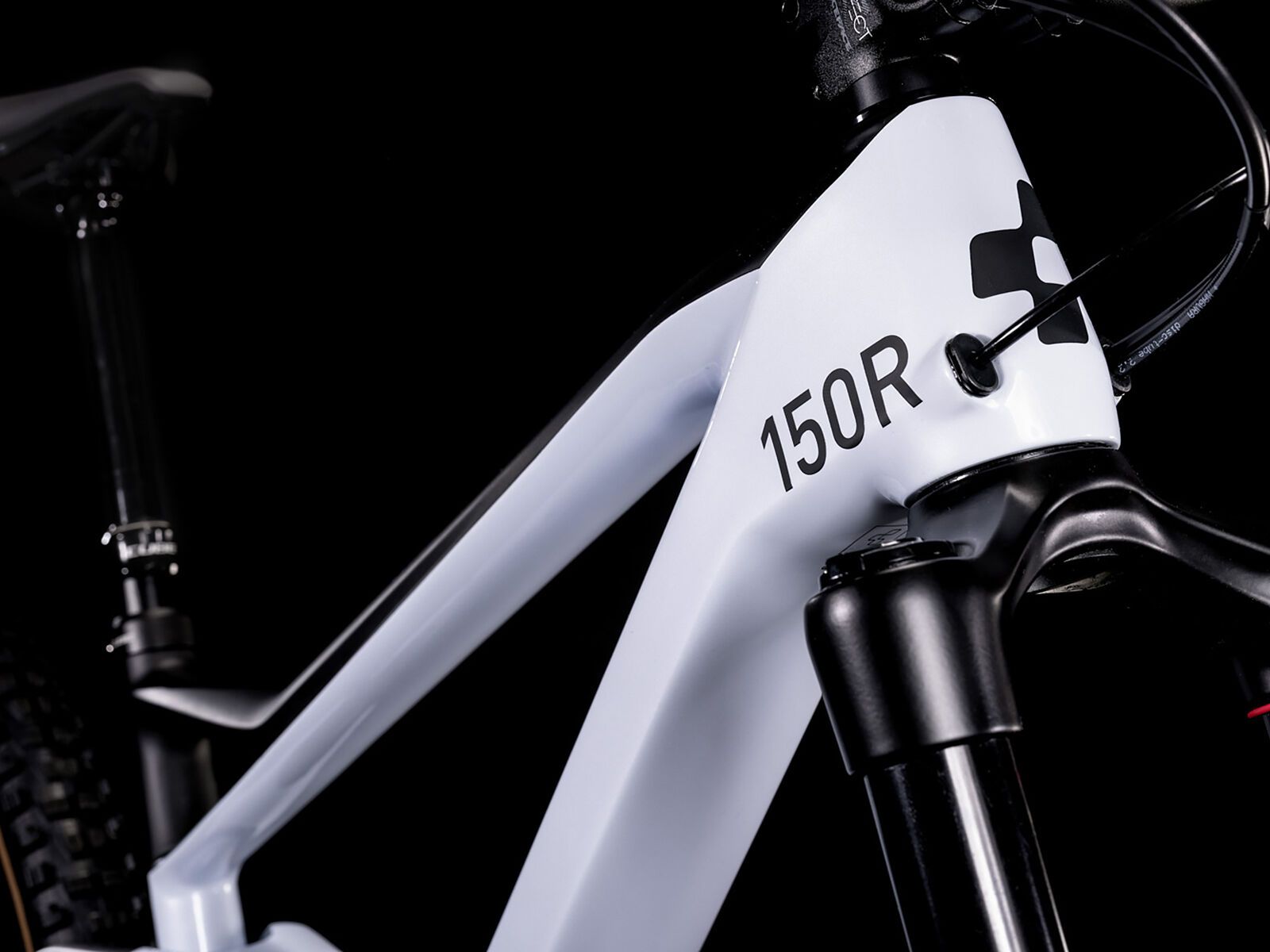 Cube Stereo 150 C:62 Race 29, flashwhite´n´carbon - Bild 3