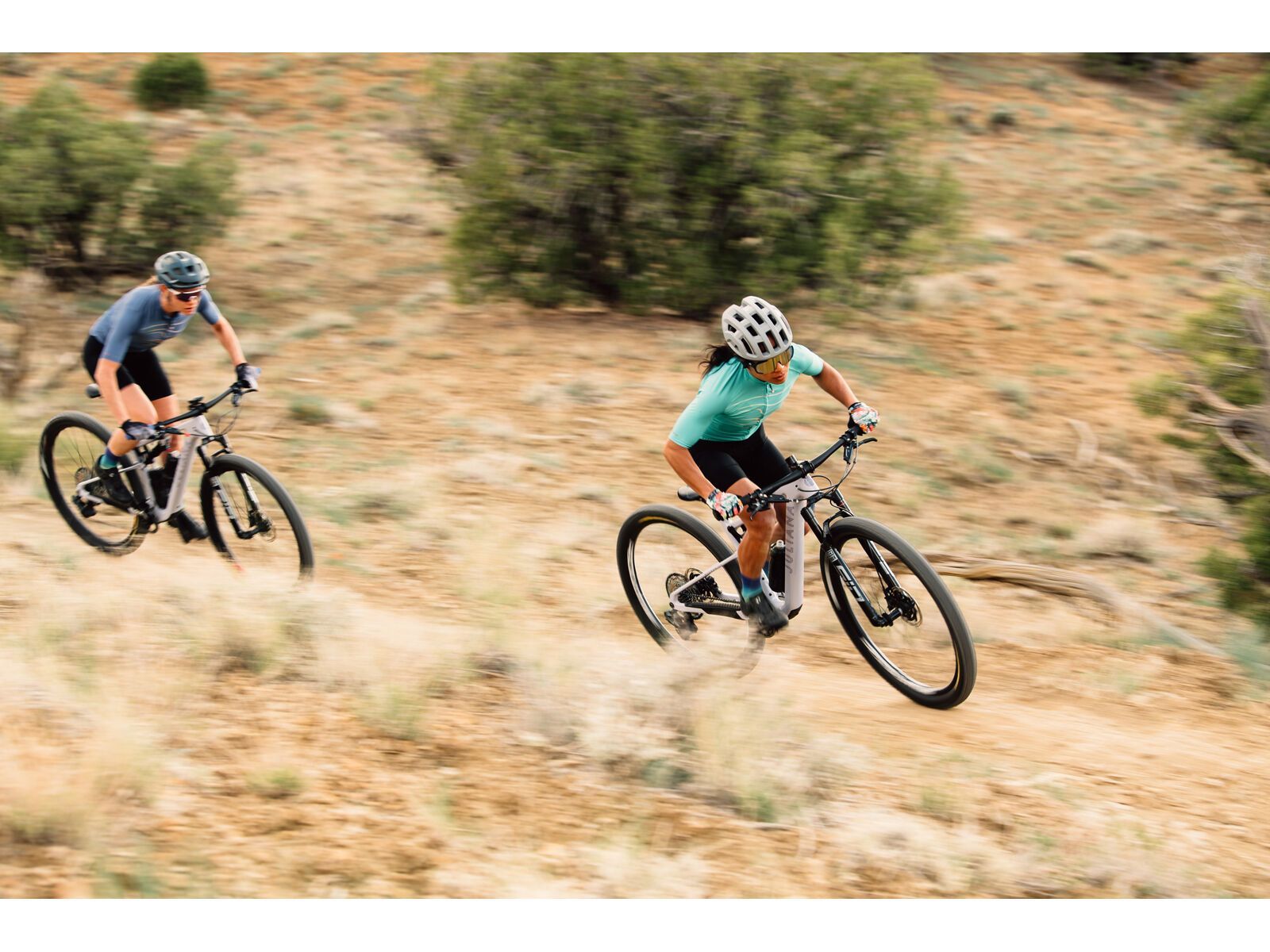 Juliana Wilder C / R / TR / 29, purple sweetness / lavender - Bild 13