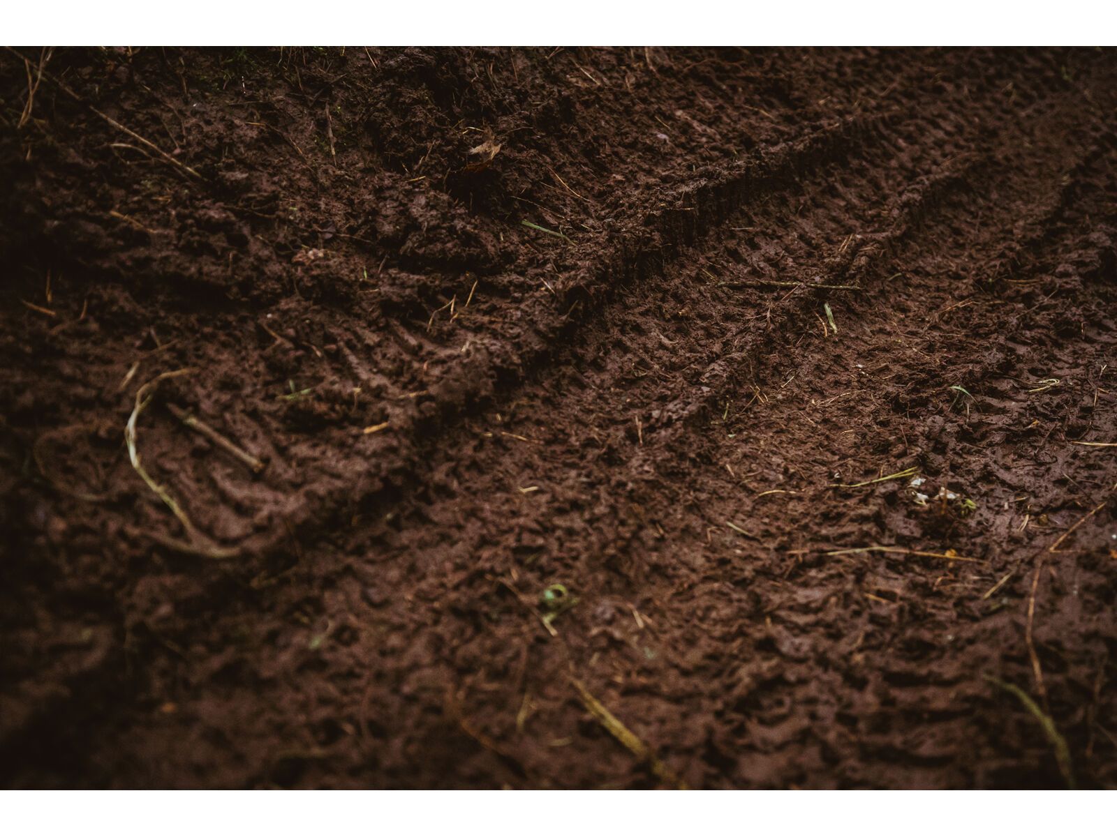 Schwalbe Shredda Rear Radial Addix Ultra Soft Gravity Pro - 29 Zoll - Bild 12