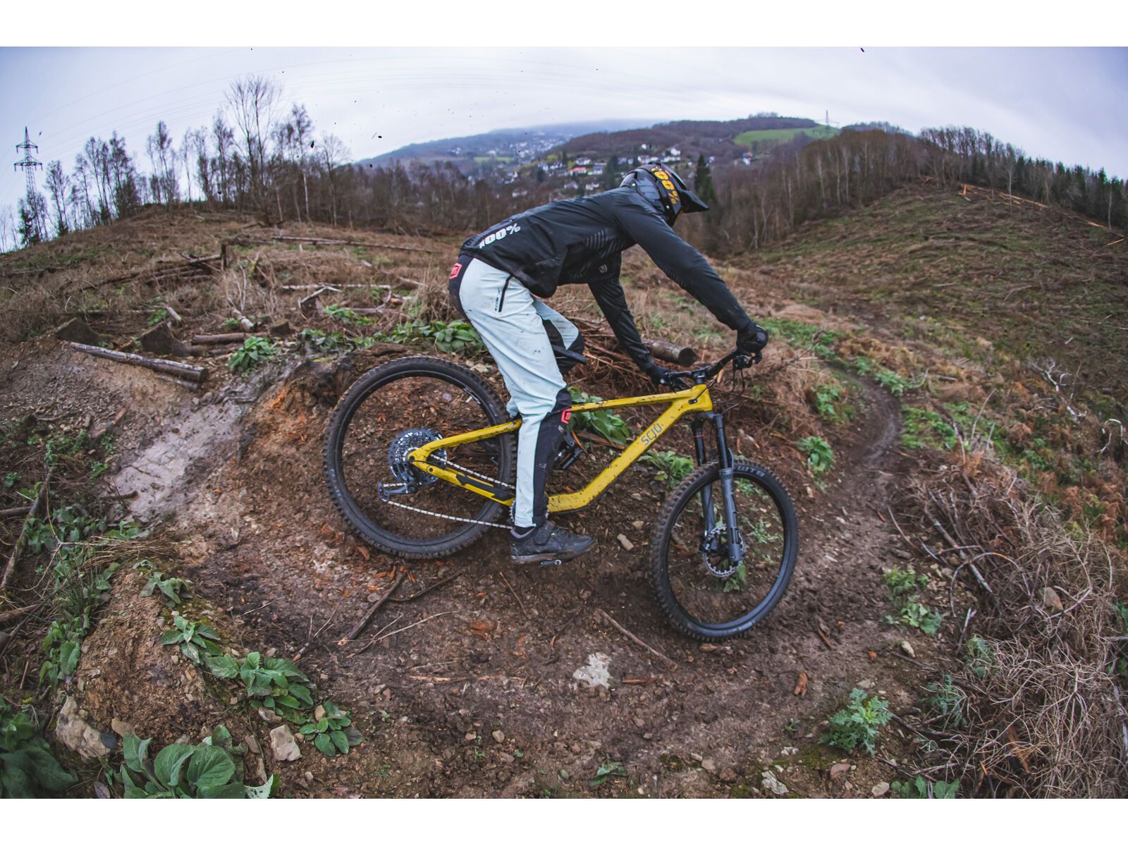 SCIU Aspen, moss yellow - Bild 24