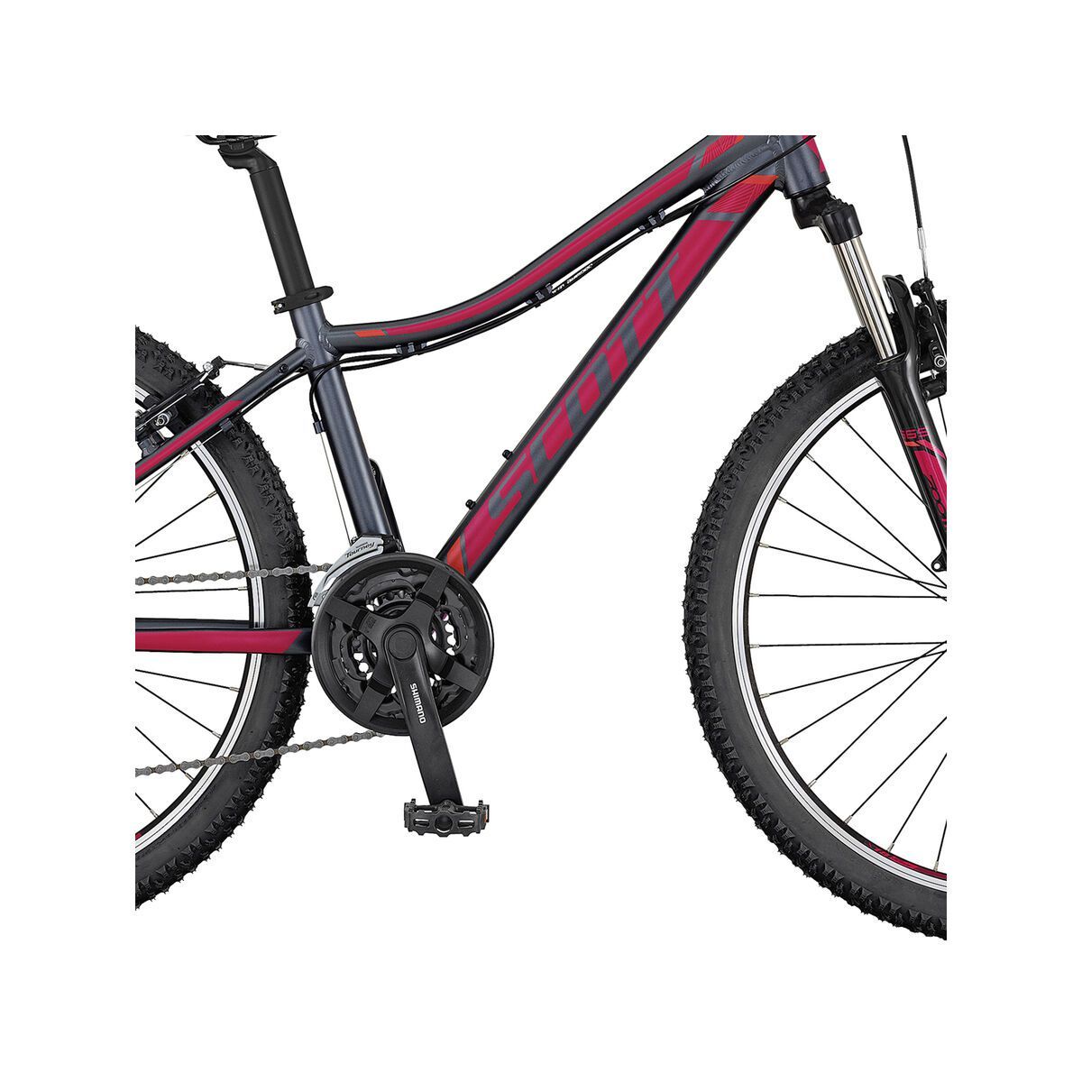 Scott Contessa JR 26 - Bild 3