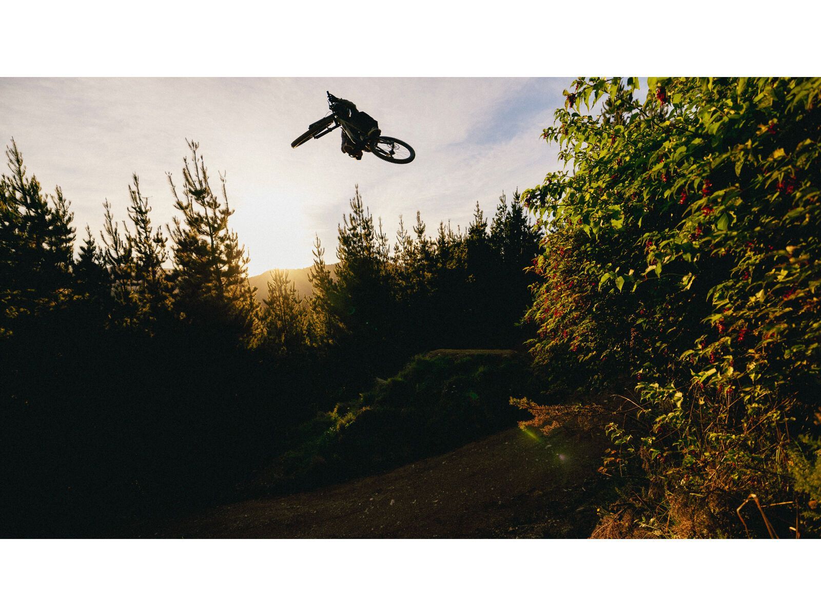 Specialized Status 2 170 DH, metallic spruce/purple haze - Bild 11