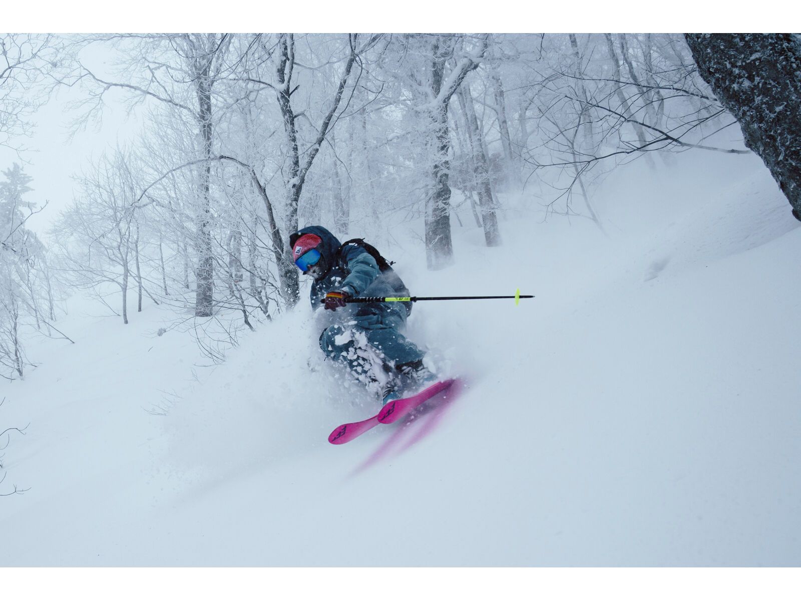 Black Crows Duos Freebird, black/yellow - Bild 12