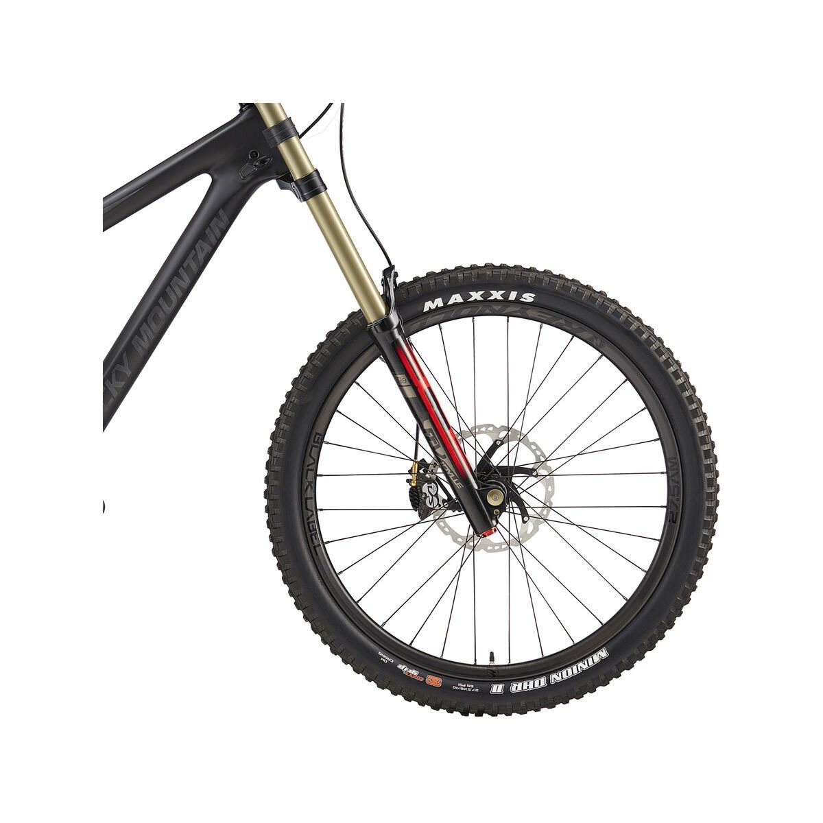 Rocky Mountain Maiden Unlimited, gloss carbon/sandblast - Bild 2