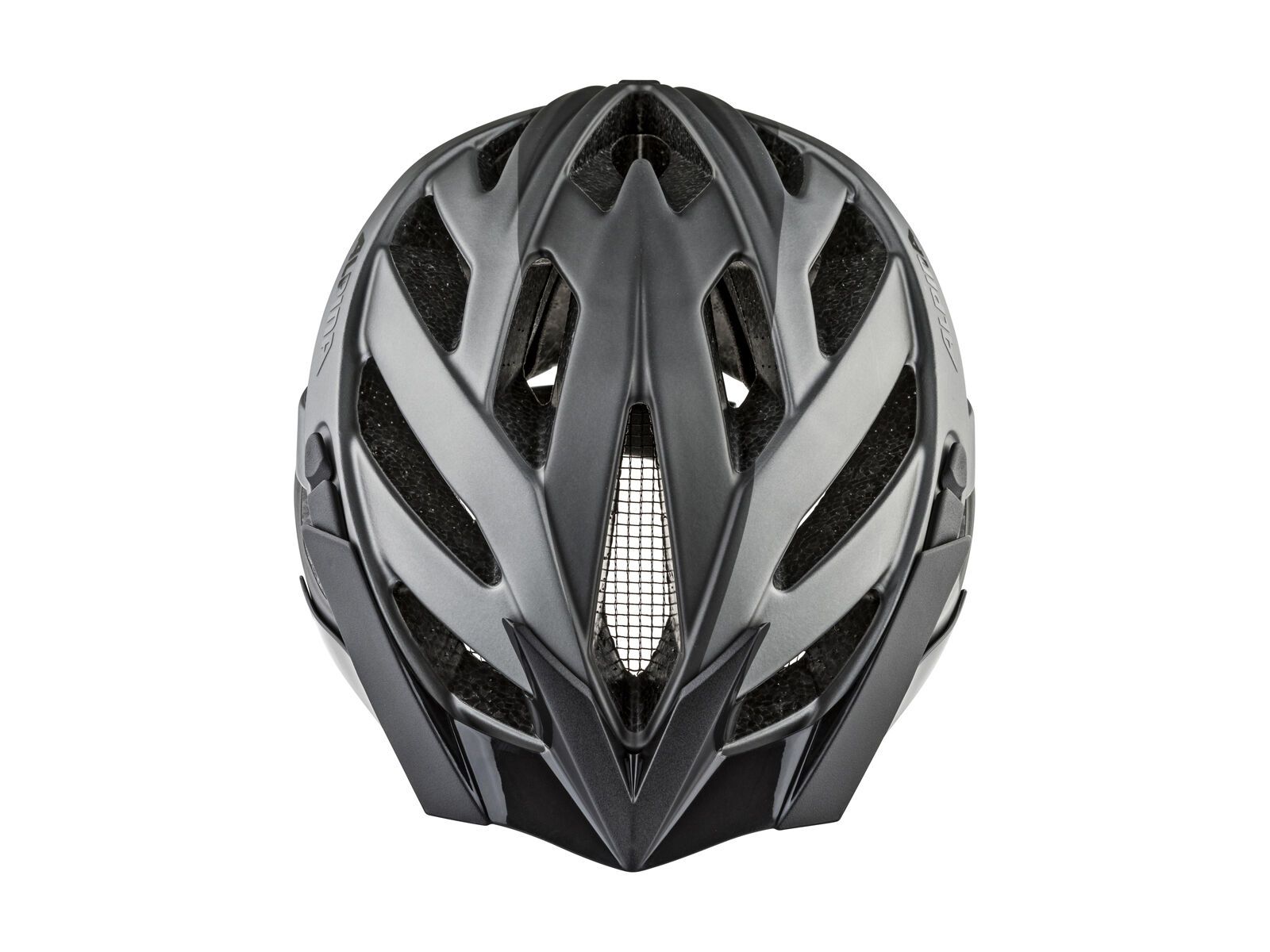 Alpina Panoma 2.0 L.E., darksilver-titanium - Bild 3