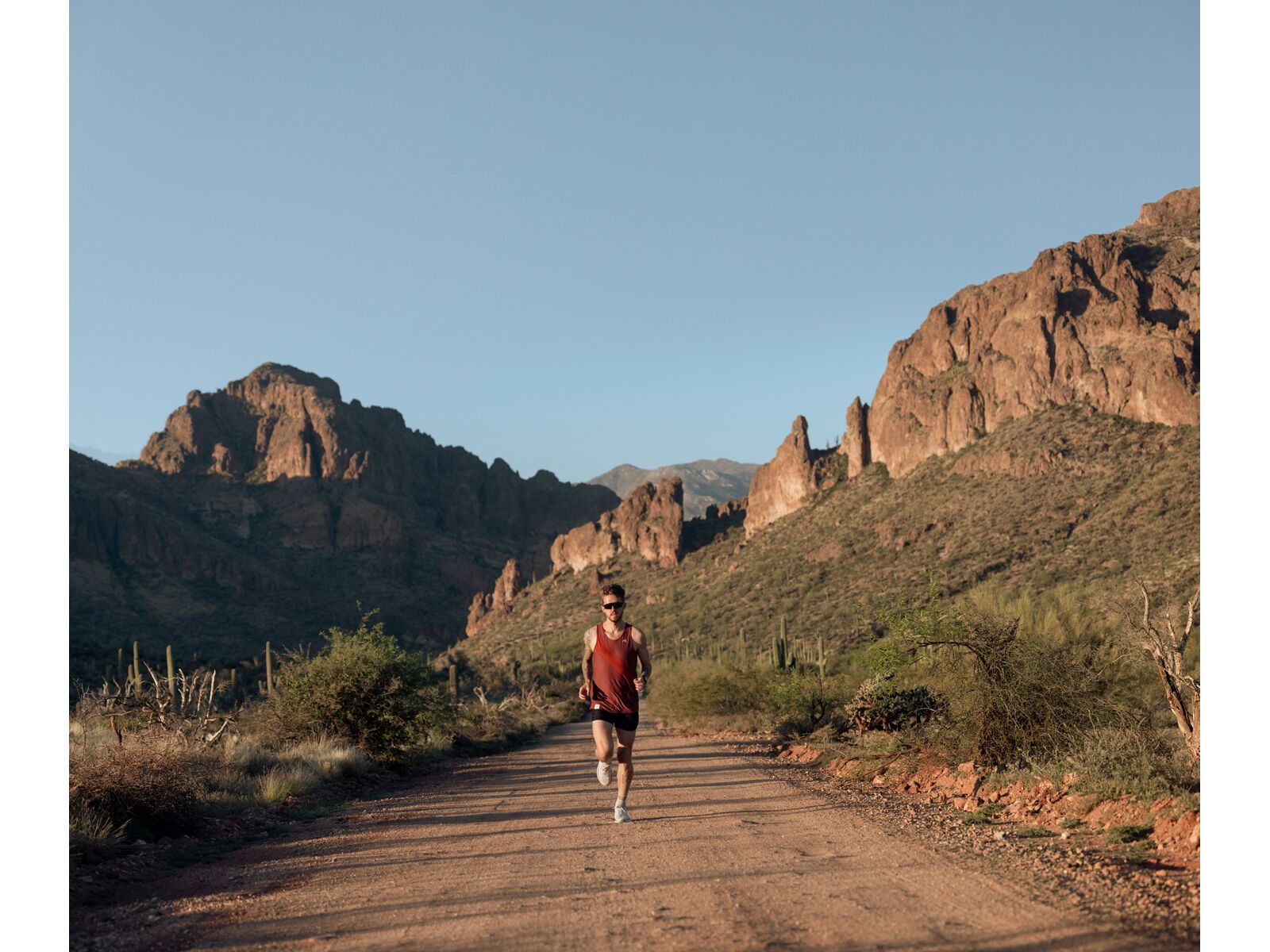 Garmin Forerunner 955, black - Bild 8