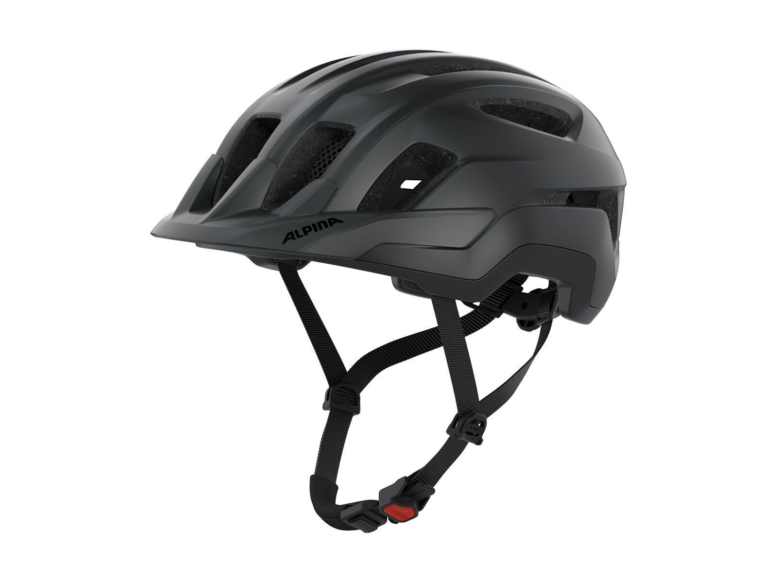 Alpina Paranus, black matt - Bild 1