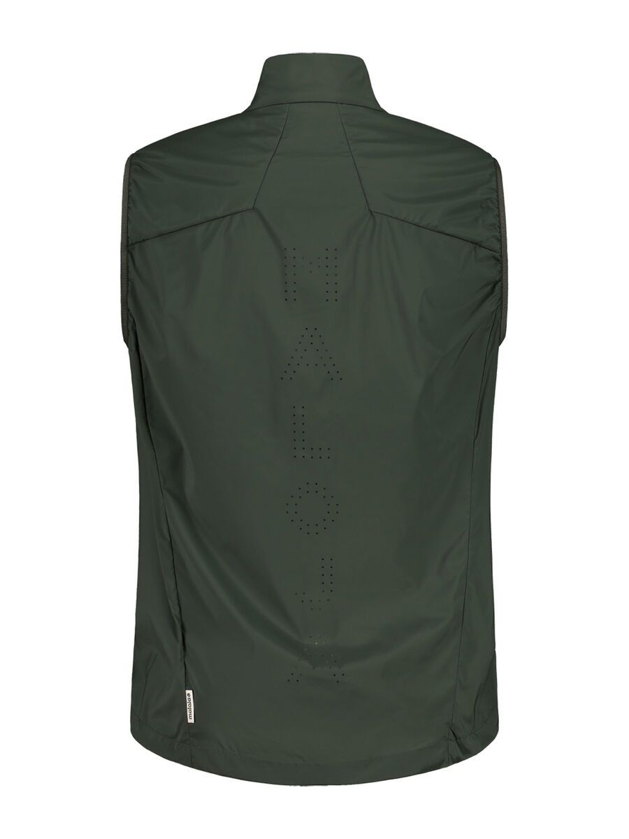 Maloja WeidelgrasM., deep forest - Bild 2