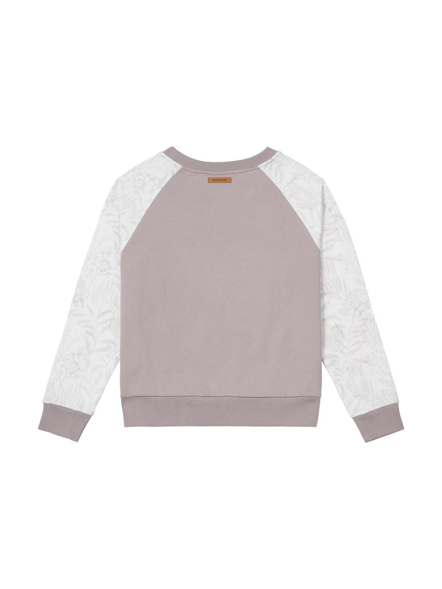 Picture Blayr Crew, algae - Bild 2