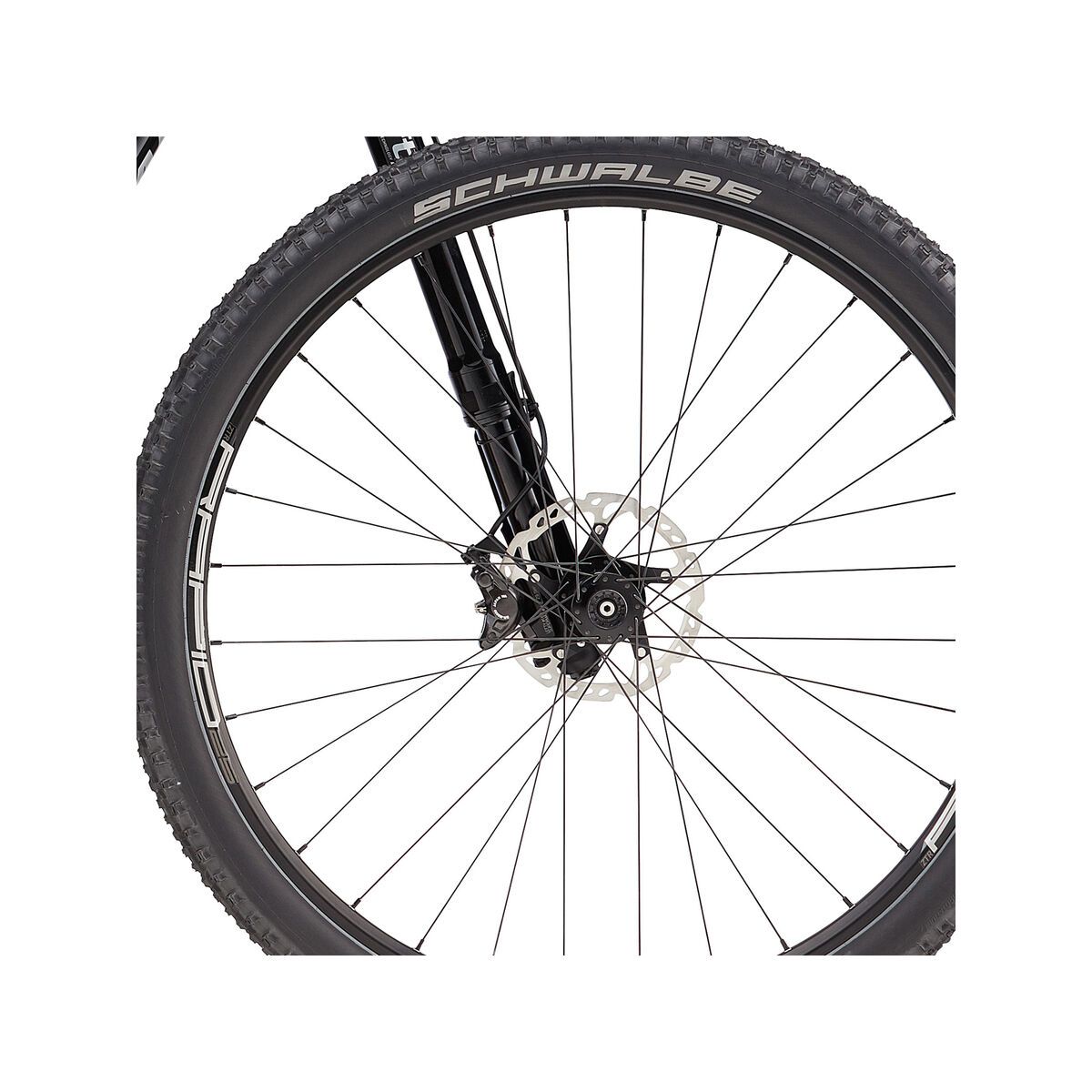 Cannondale Scalpel-Si Carbon 4 29, jet black w/ fine silver and charcoal gray, gloss - SLV - Bild 2