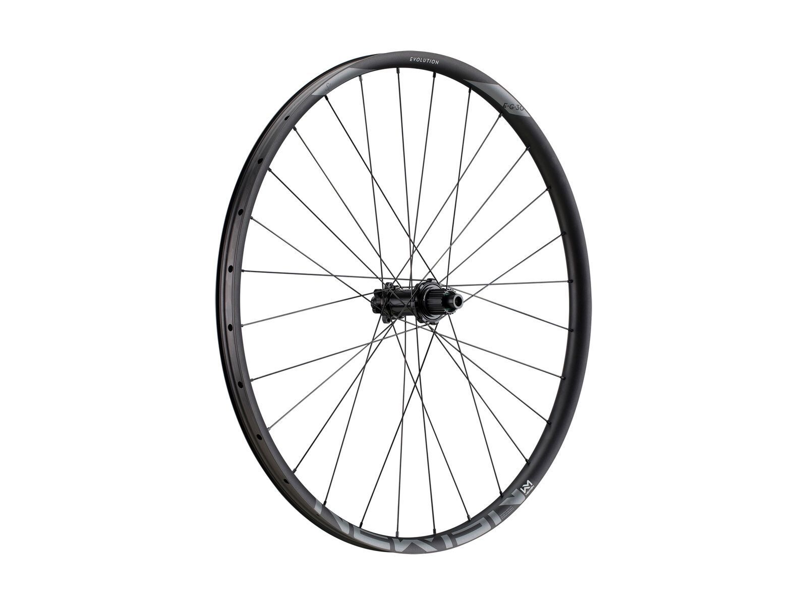 Newmen Evolution SL E.G. 30 - 29 / 12x148 mm Boost / Shimano Micro Spline, black - Bild 1