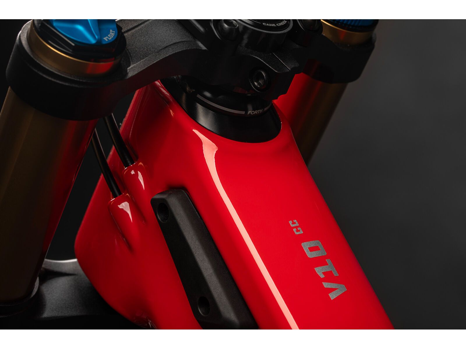 Santa Cruz V10 CC / Frame / MX, red - Bild 10