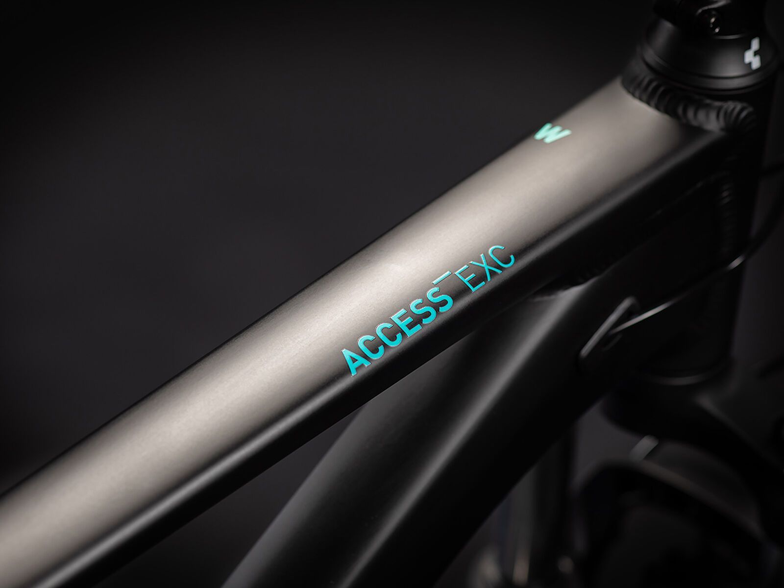 Cube Access WS EXC 29, black´n´blue - Bild 2