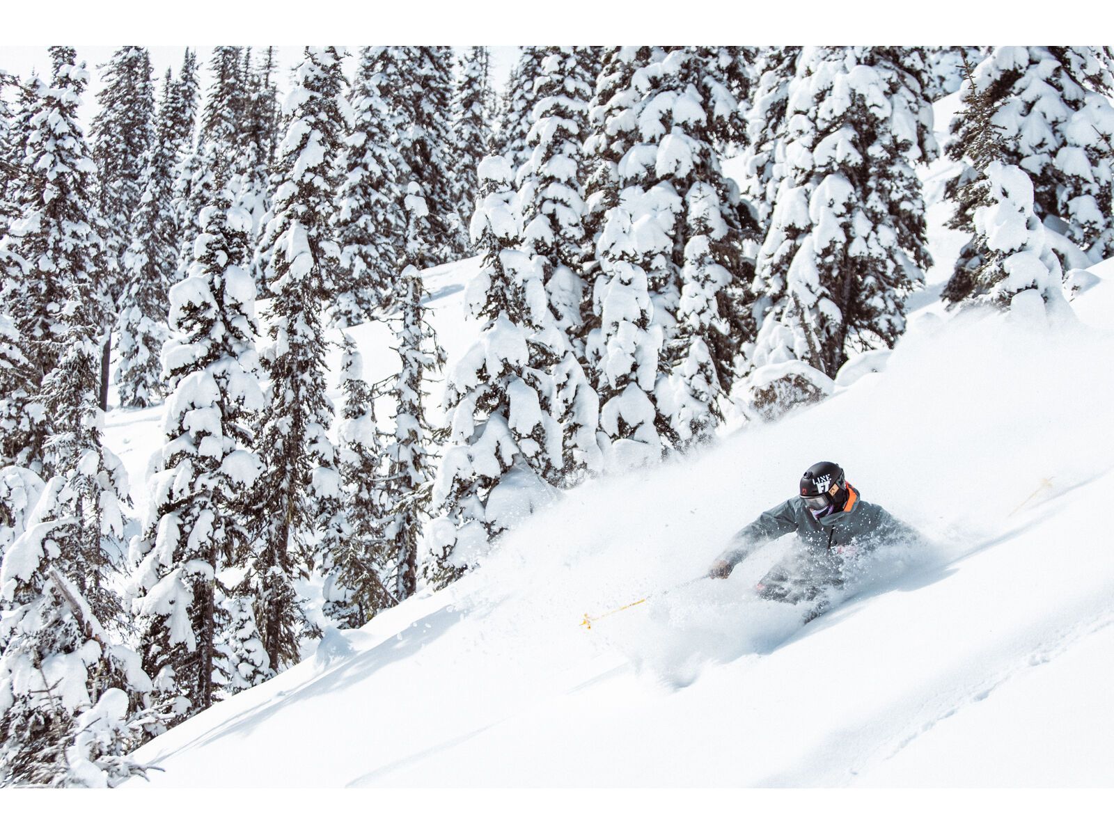 Line Blade Optic 104 - Bild 11