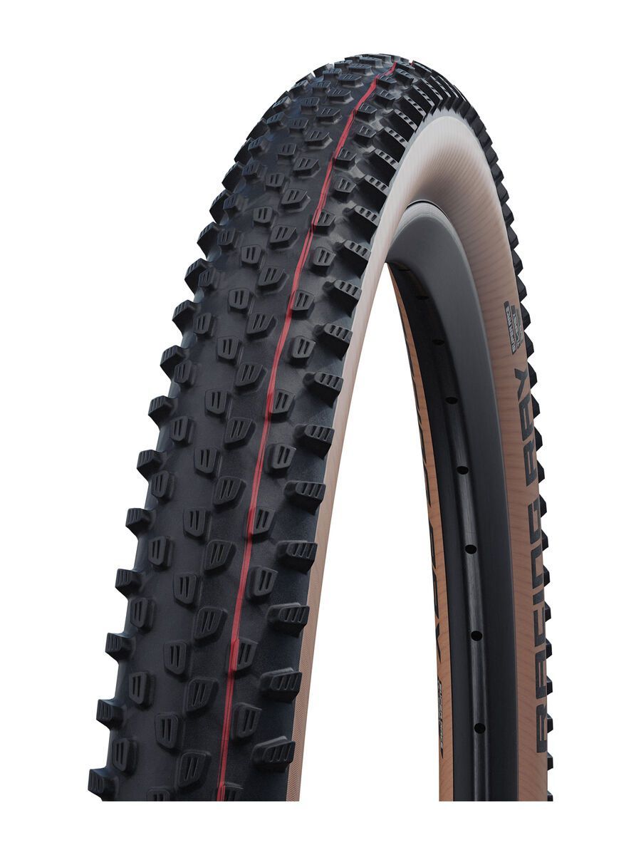Schwalbe Racing Ray Evo Addix Speed Super Race - 29 Zoll, transp. sidewall - Bild 1