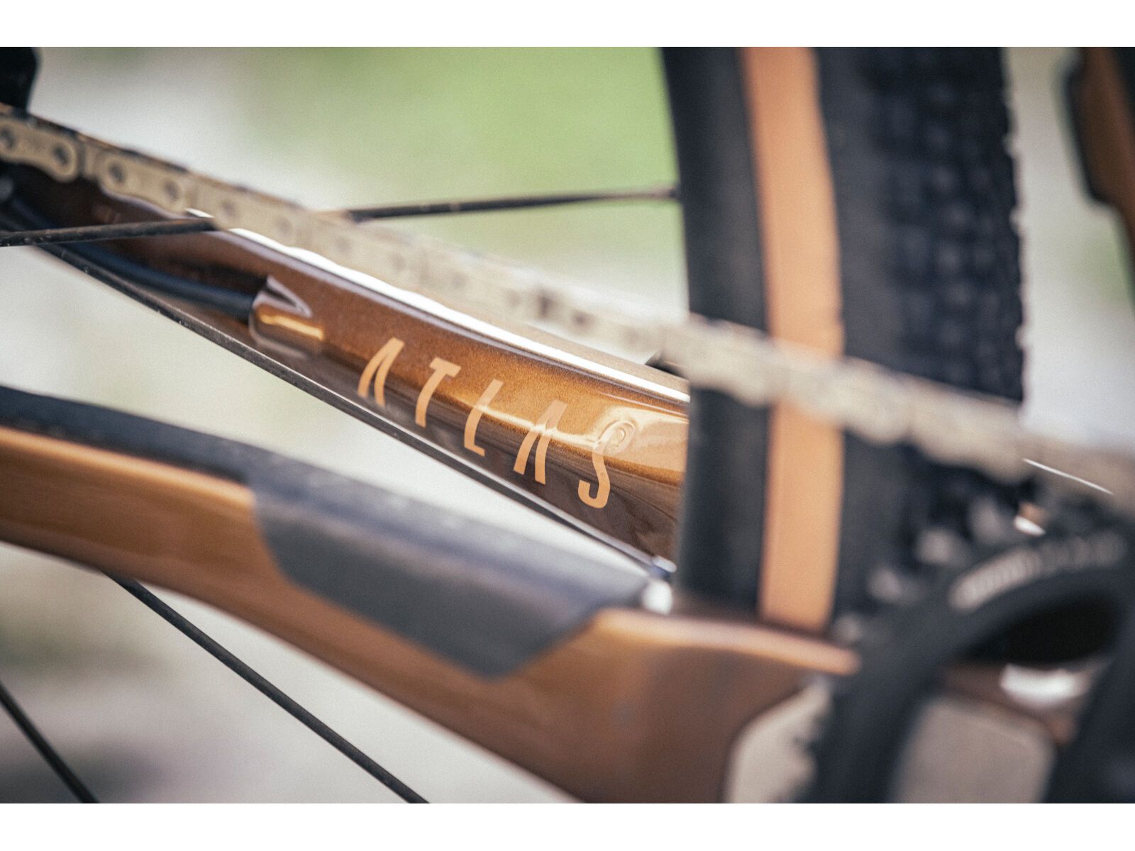 Focus Atlas 8.9, gold brown - Bild 16