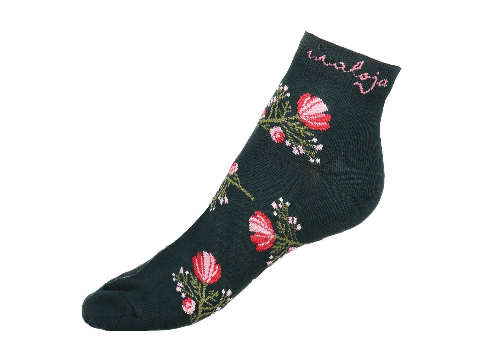 Maloja FortunataM., pinetree - Bild 1