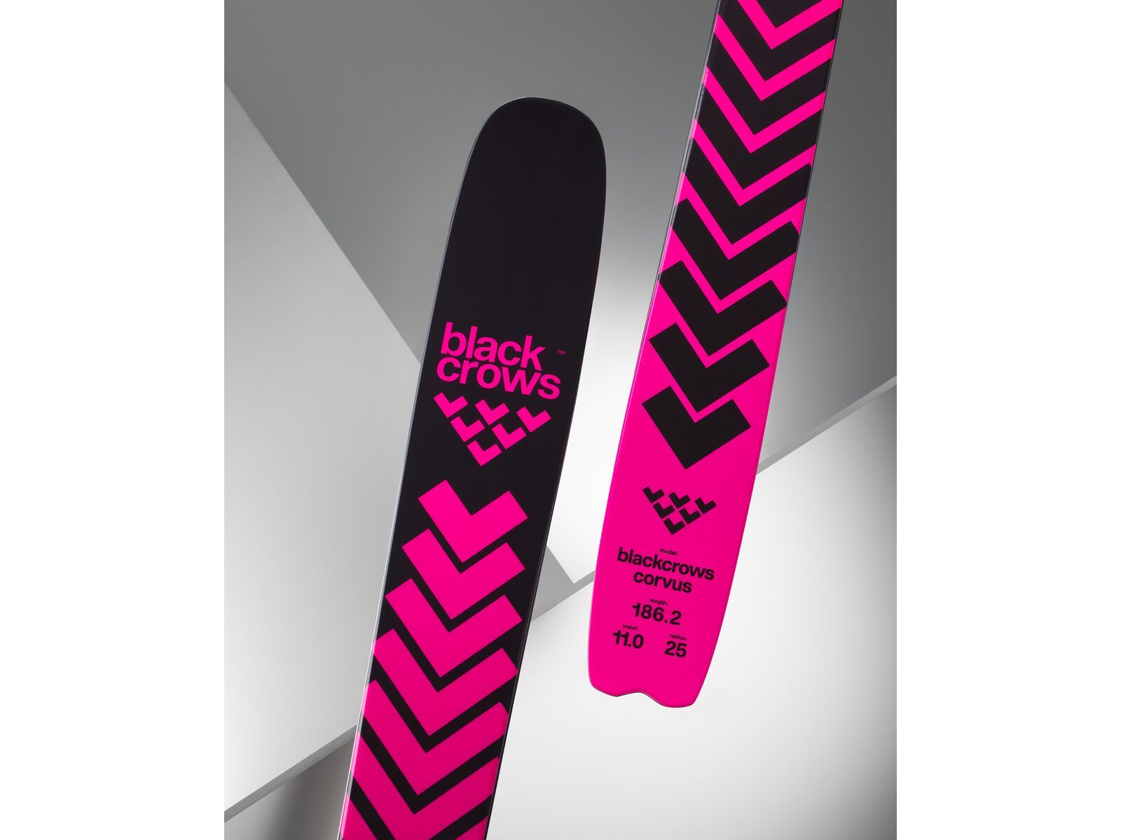 Black Crows Corvus, pink - Bild 6