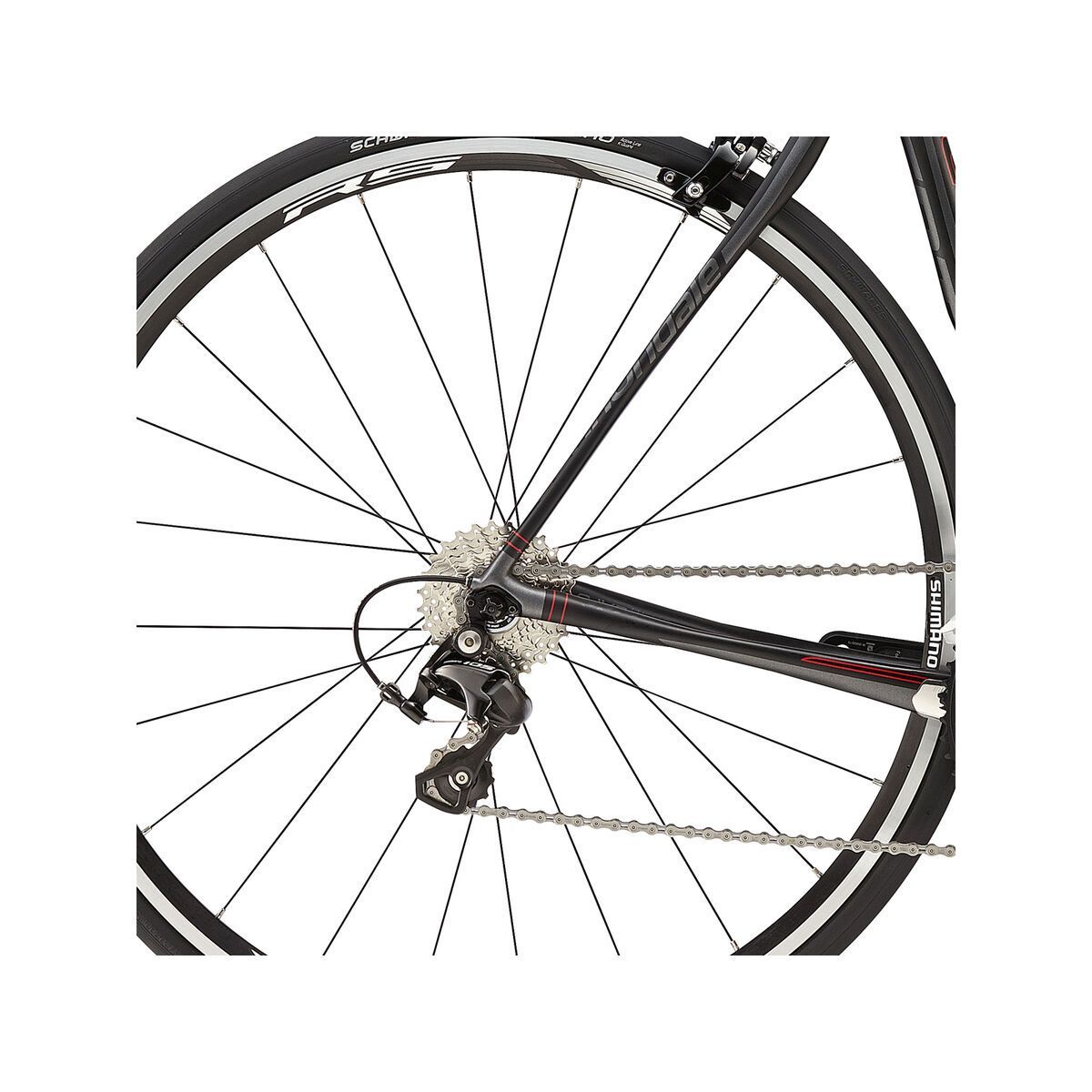 Cannondale Synapse Carbon 105 6, jet black, with charcoal grey and race red matte - Bild 4