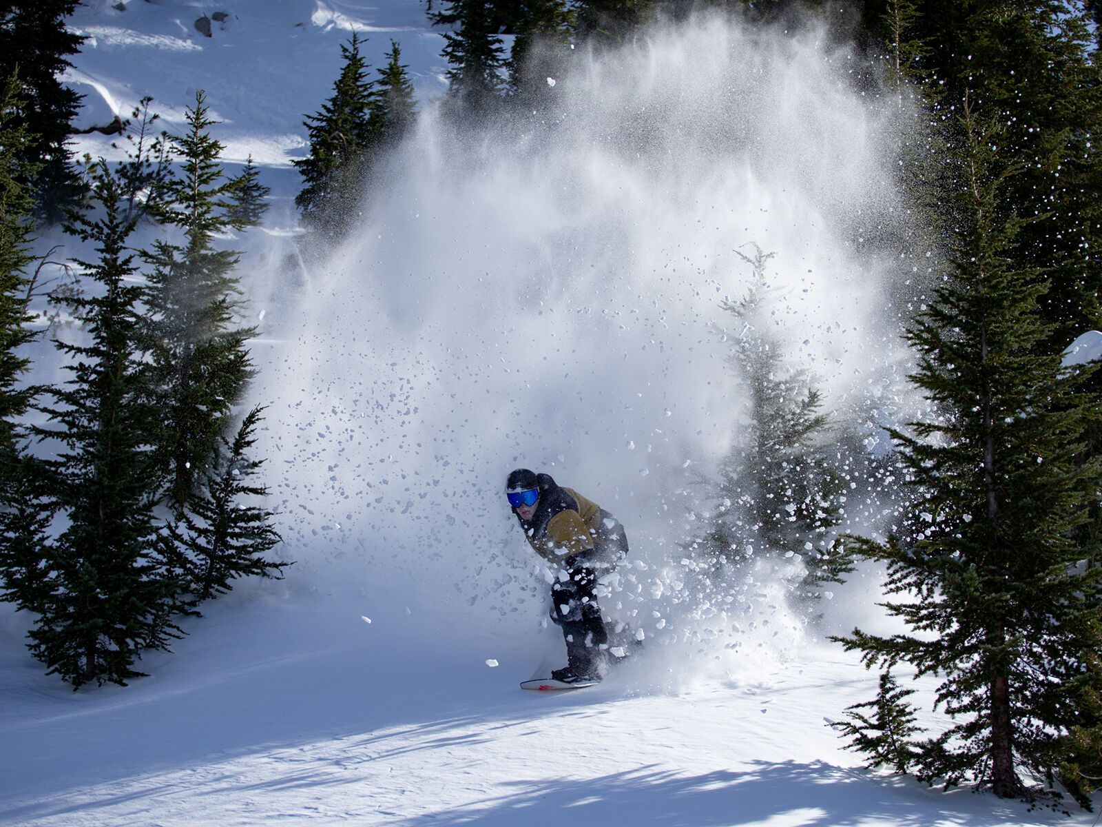 Jones Aviator 2.0 Wide - Bild 5