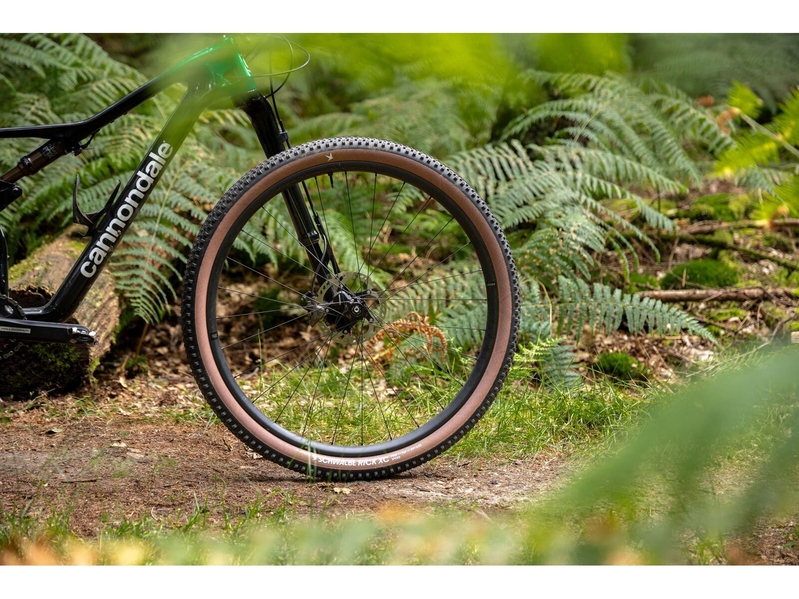 Schwalbe Rick XC Pro Evo Addix Speed TLR - 29 Zoll, transp. sidewall - Bild 20