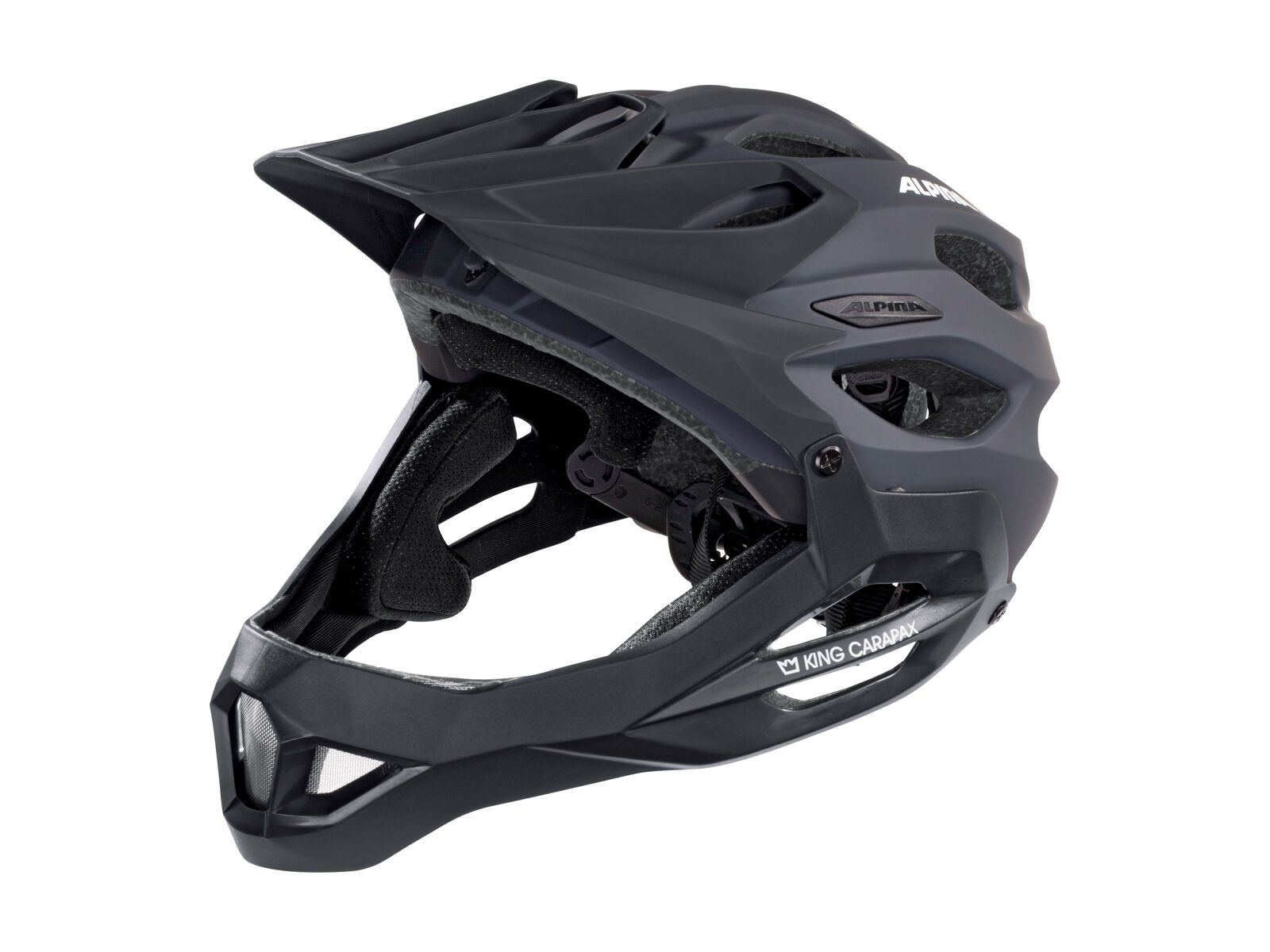 Alpina King Carapax, black - Bild 1