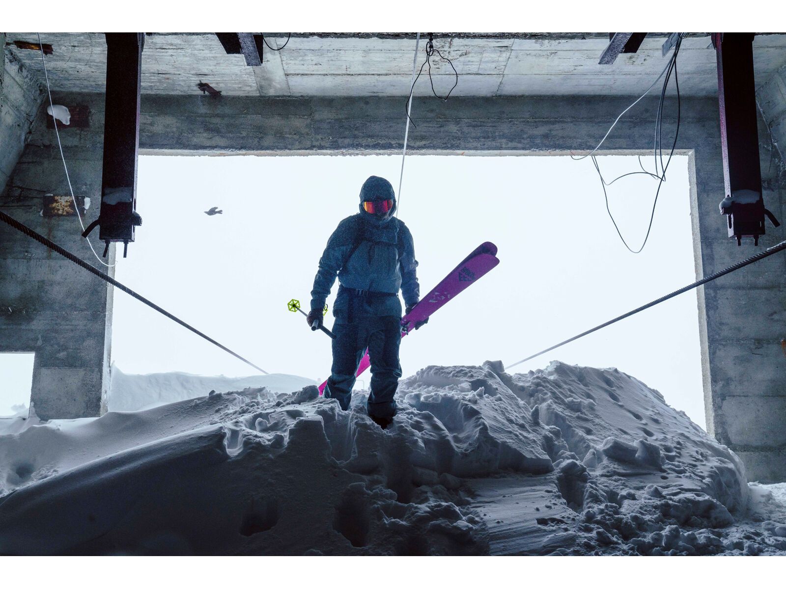 Black Crows Corvus Freebird, pink - Bild 12