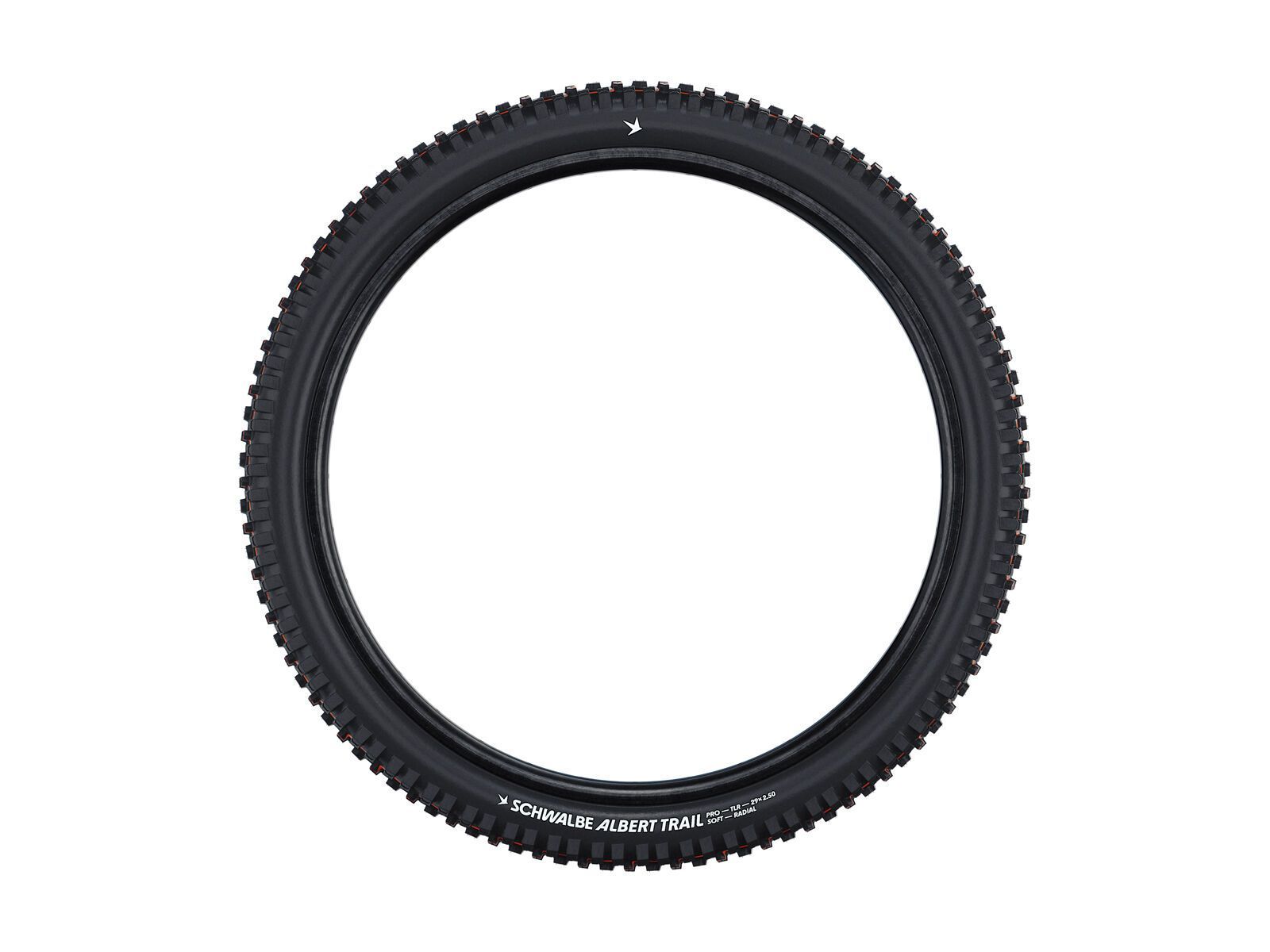 Schwalbe Albert Radial Addix Soft Gravity Pro - 29 Zoll - Bild 3