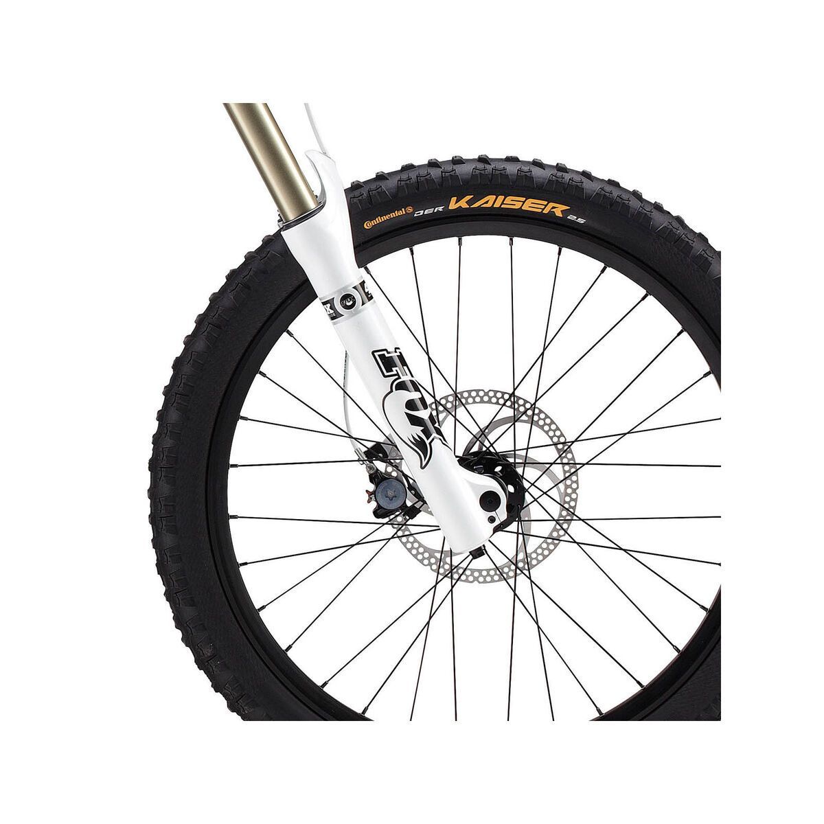 GT Fury Expert, matte blue - Bild 2