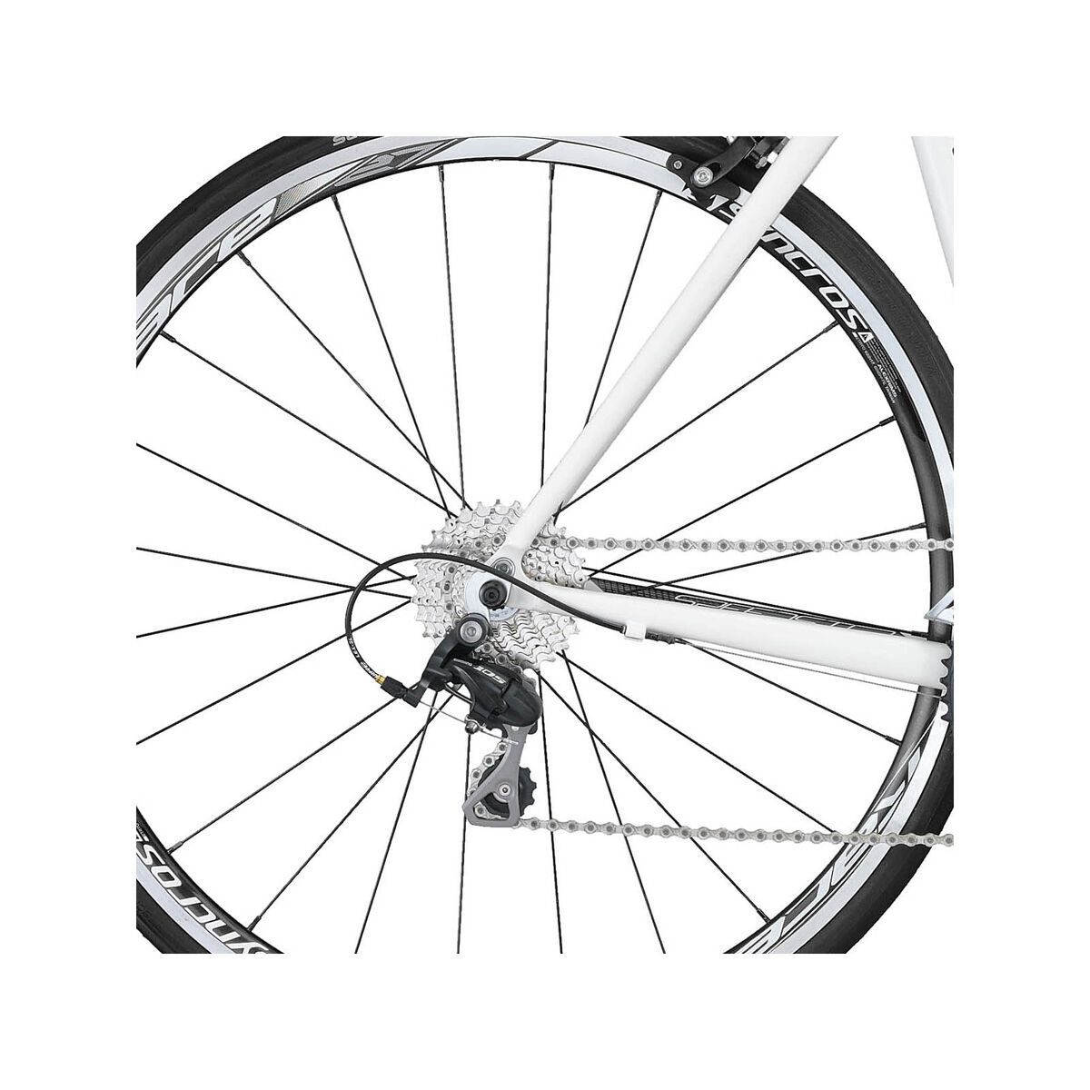 Scott Speedster 20 - Bild 4