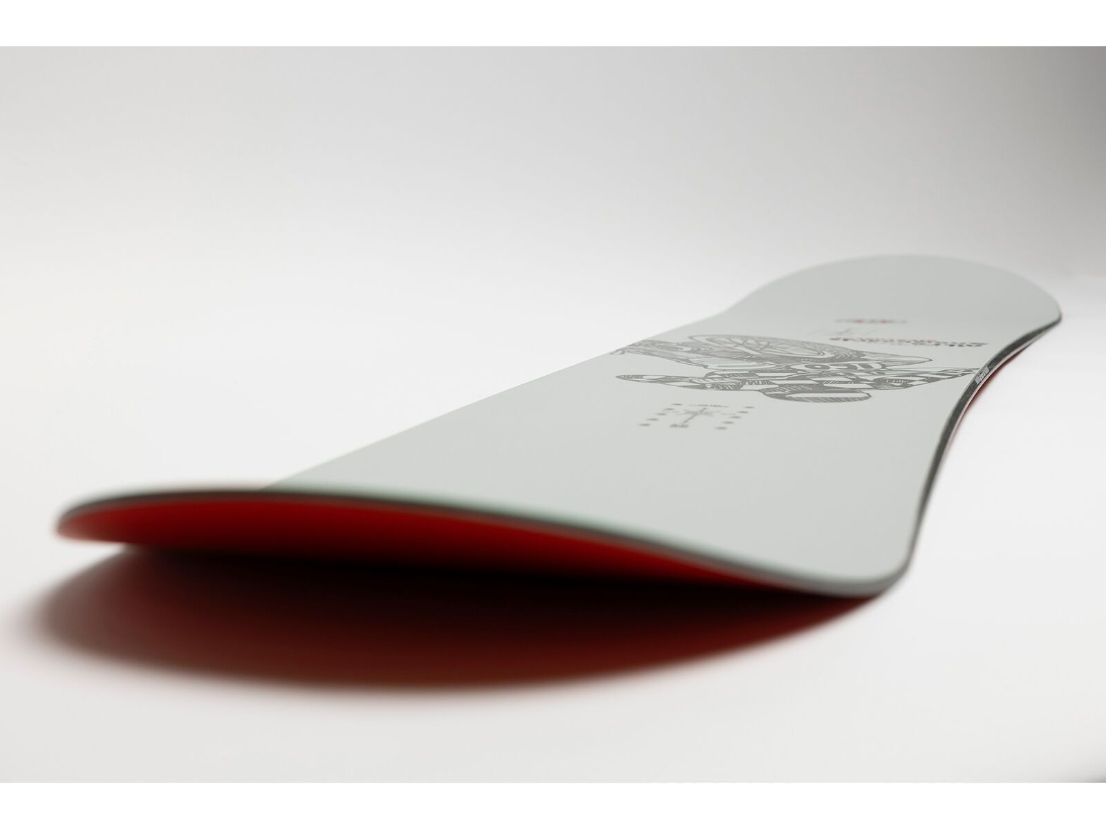 Nitro Alternator Progressive - Bild 4