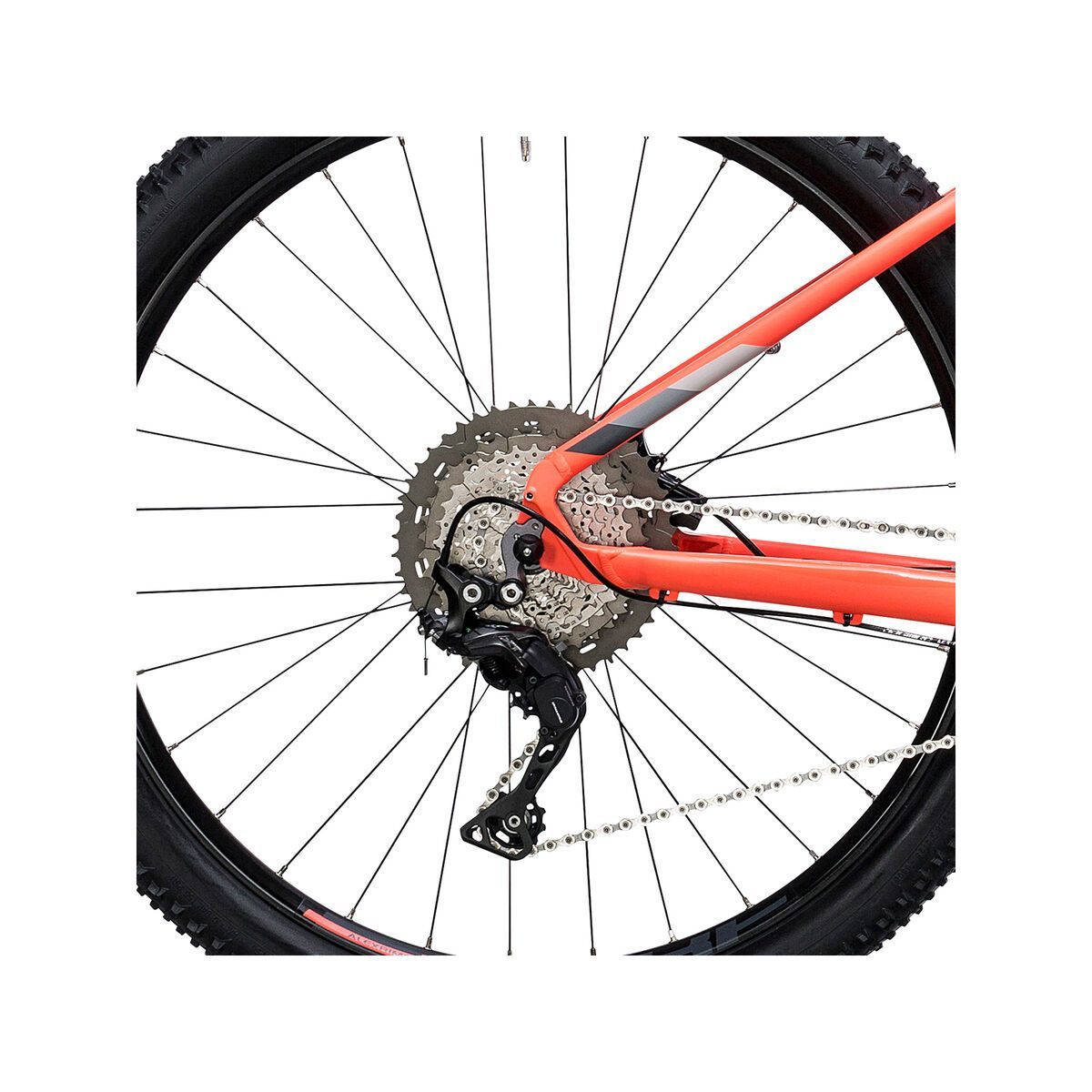 Cube Access WLS Hybrid Race 500 29, coral´n´grey - Bild 4