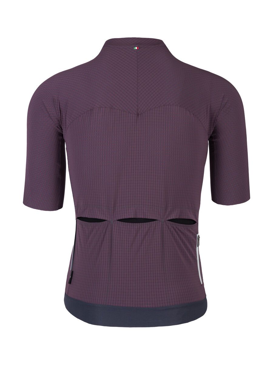 Q36.5 Dottore Pro Jersey, langhe red - Bild 2