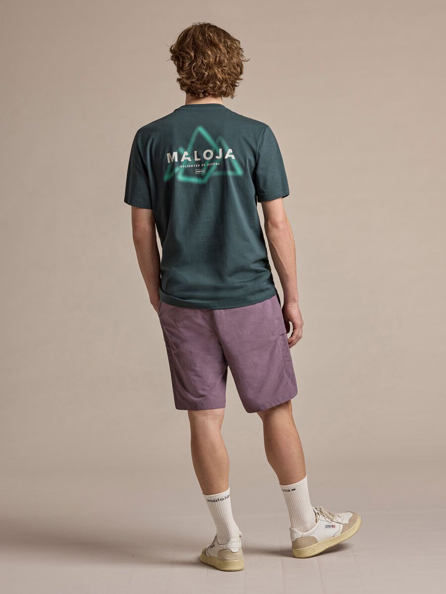 Maloja NalboM., mountain pine - Bild 4