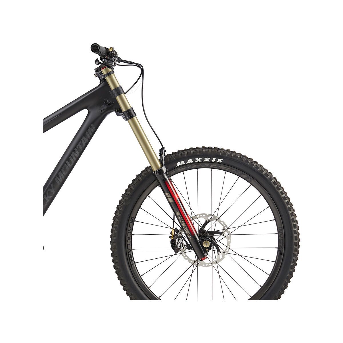 Rocky Mountain Maiden Unlimited, gloss carbon/sandblast - Bild 5