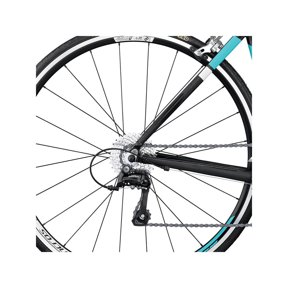 Scott Contessa Speedster 45 - Bild 4