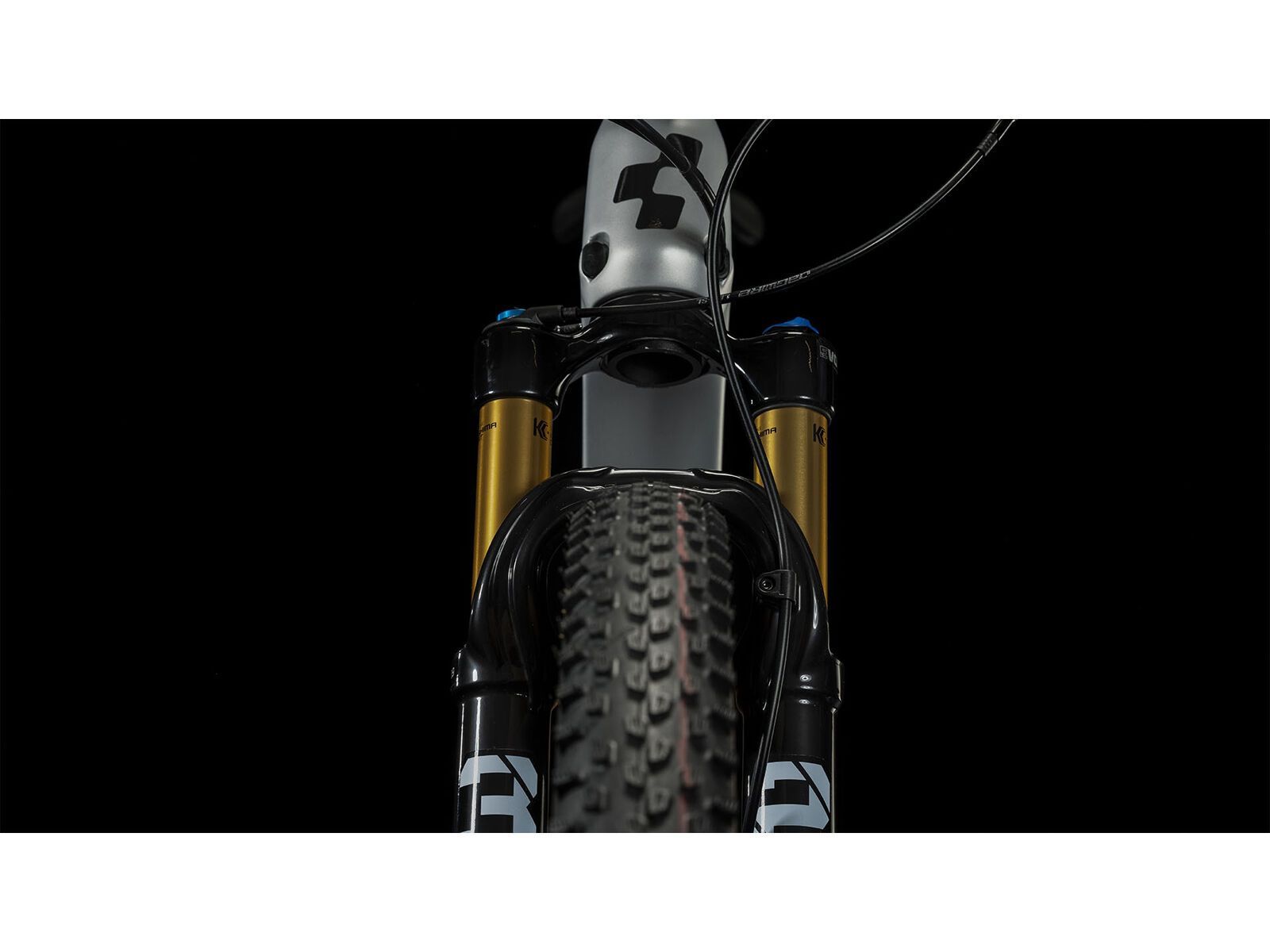 Cube Elite C:62 Pro, silver´n´carbon - Bild 6