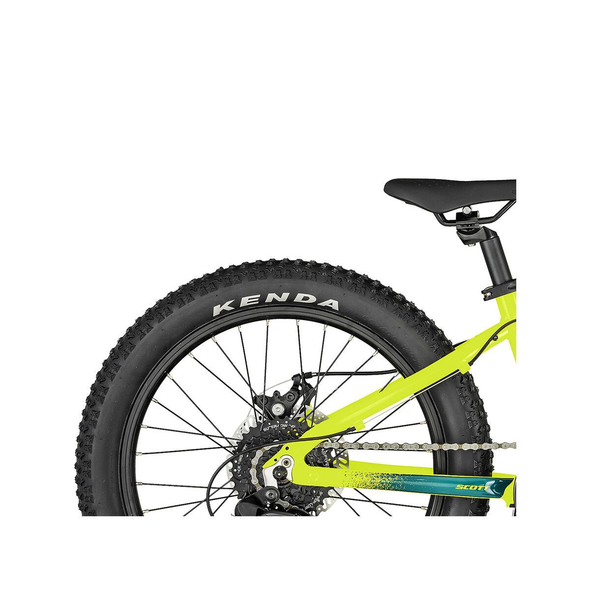 Scott Roxter 20 20 - Bild 6