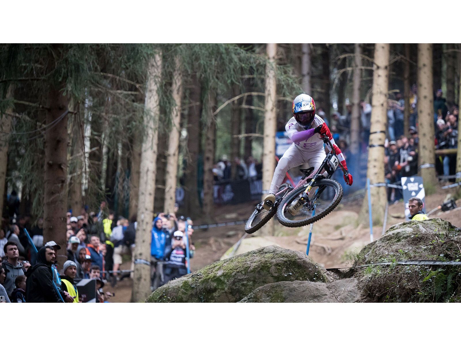 Specialized Cannibal Grid Gravity 2Bliss Ready T9 - 27.5 Zoll - Bild 4