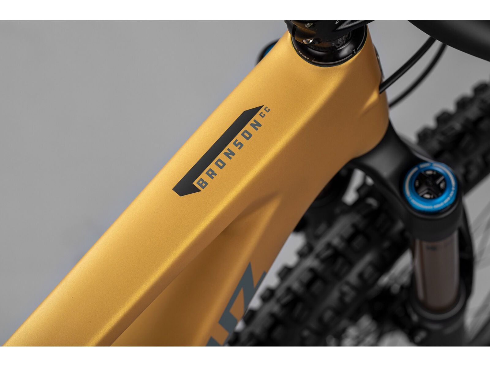 Santa Cruz Bronson CC / X01 / MX, paydirt gold - Bild 2